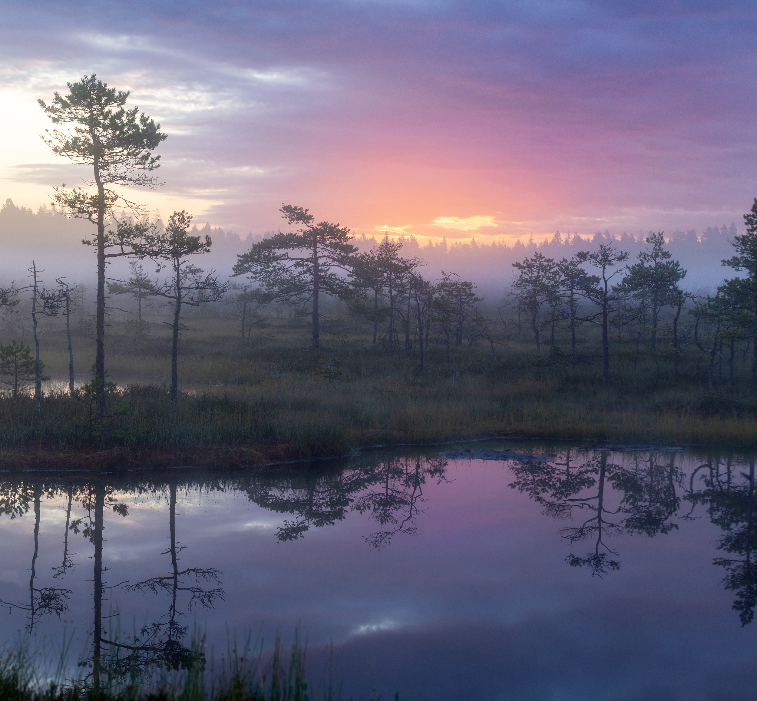 болото, карелия, туман, утро, рассвет, фототур, Павел Ващенков