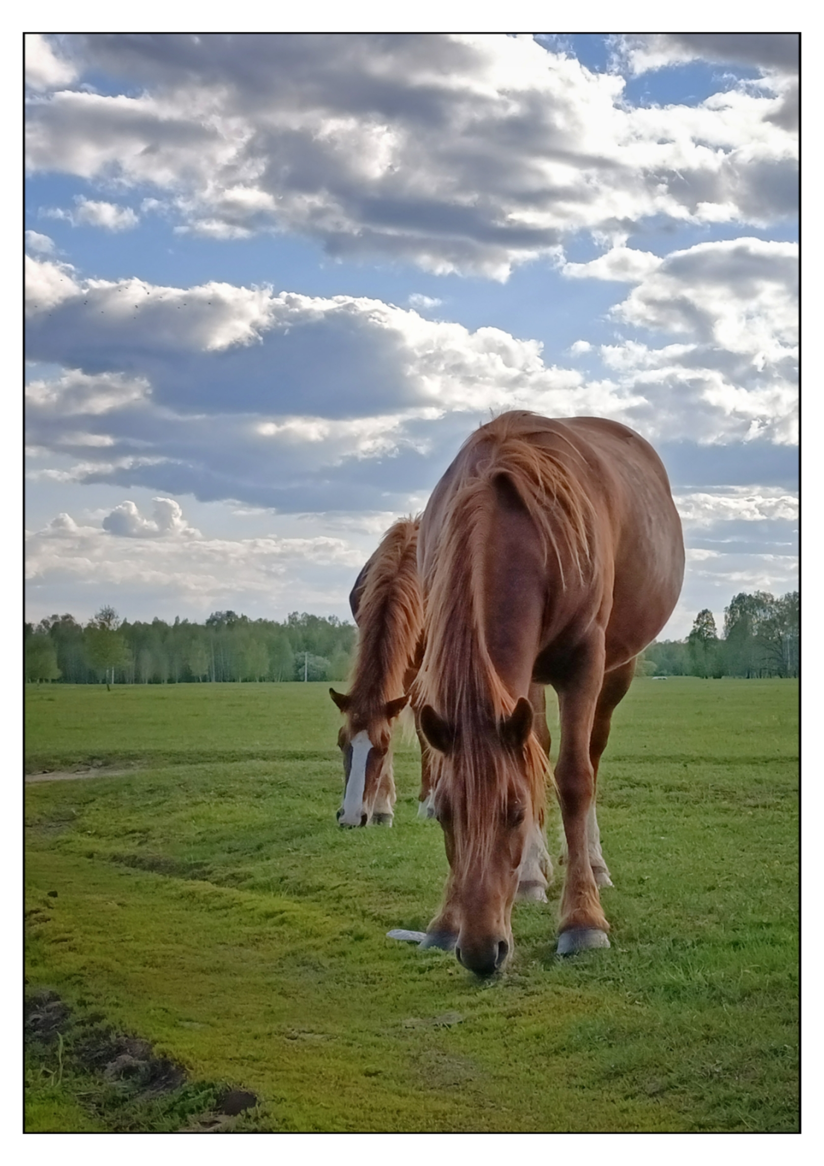 , Герасимова Алёна