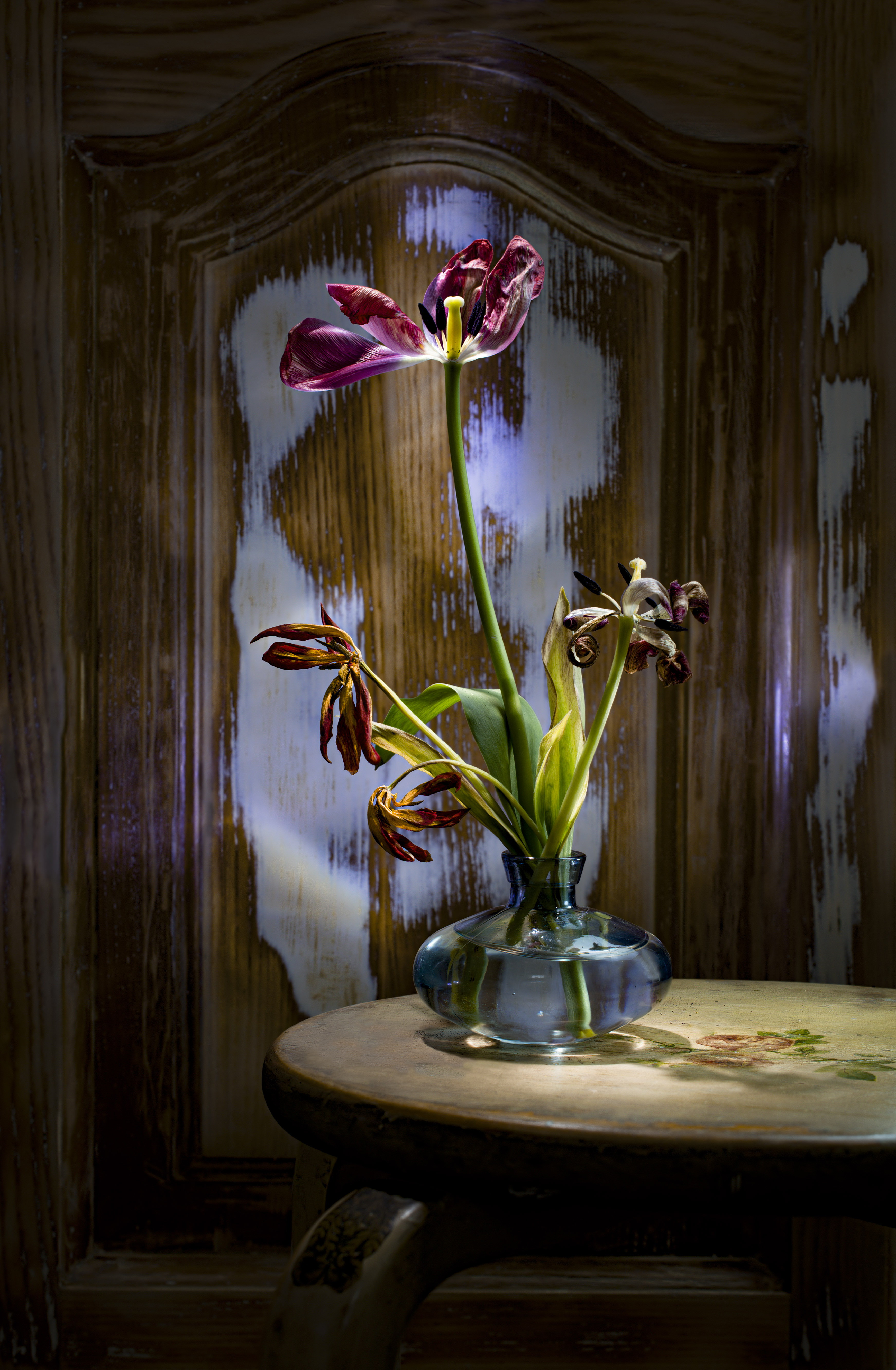 , Черновол Валентин