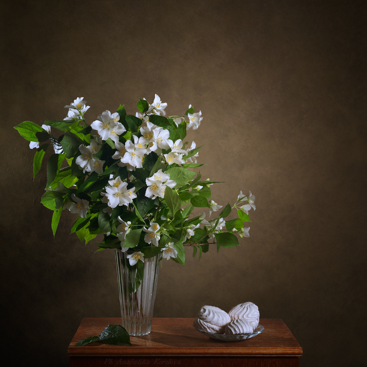 , Анжелика Королева