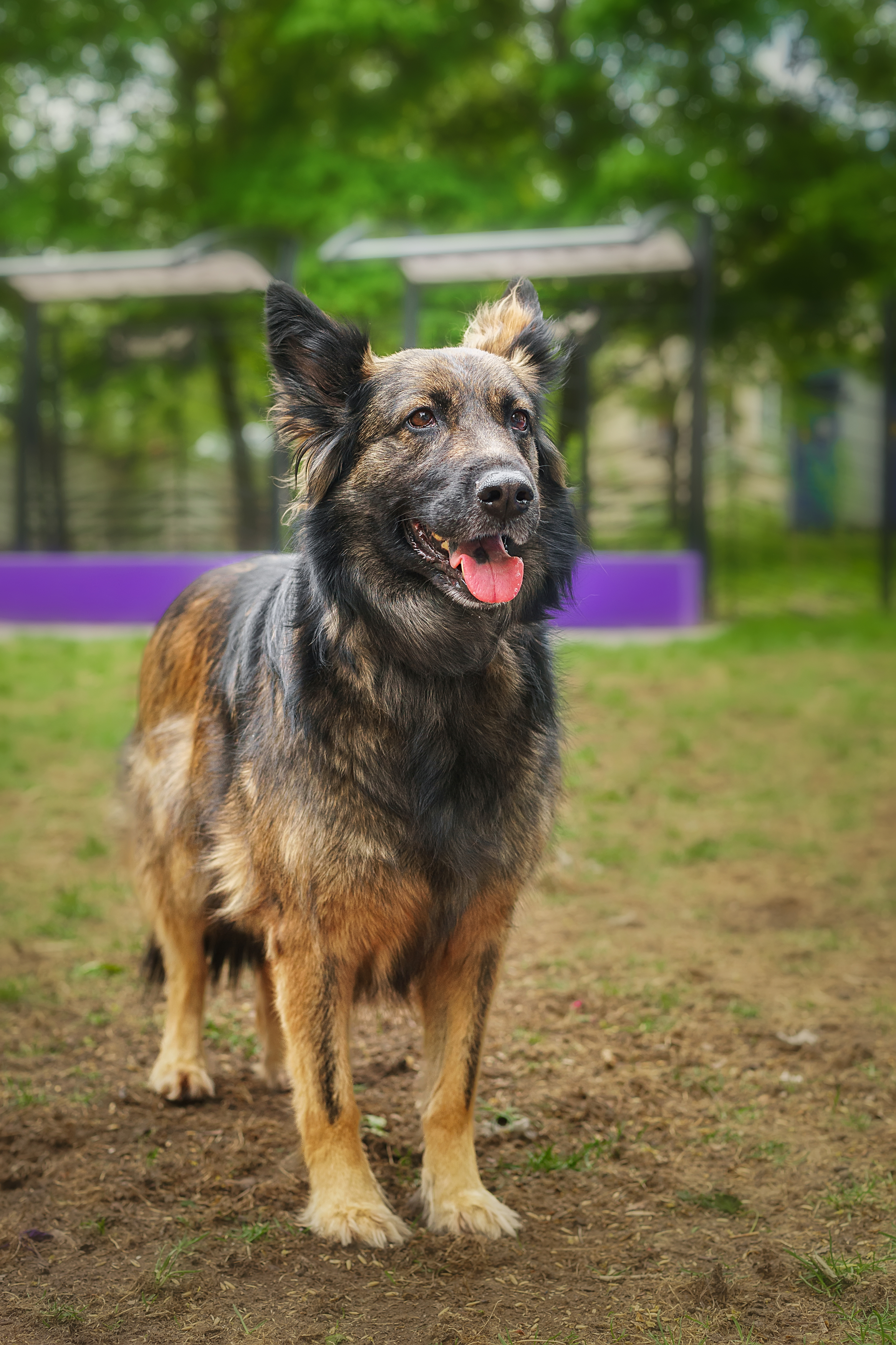 , Корнеев Алексей