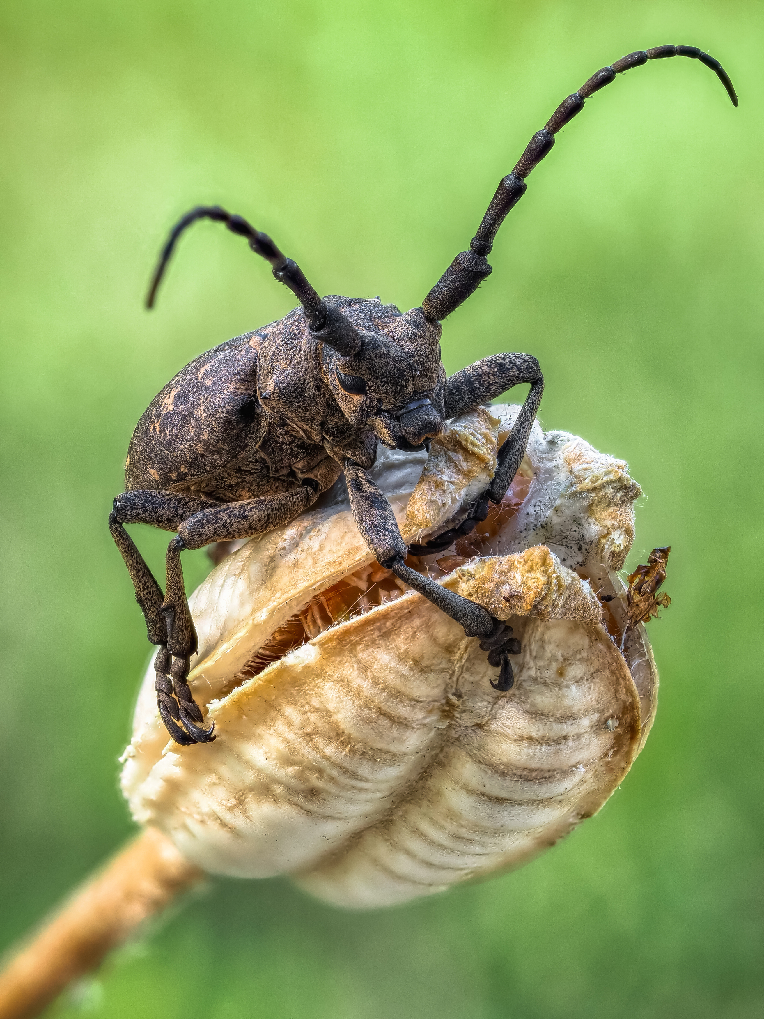 , Олег Савицкий