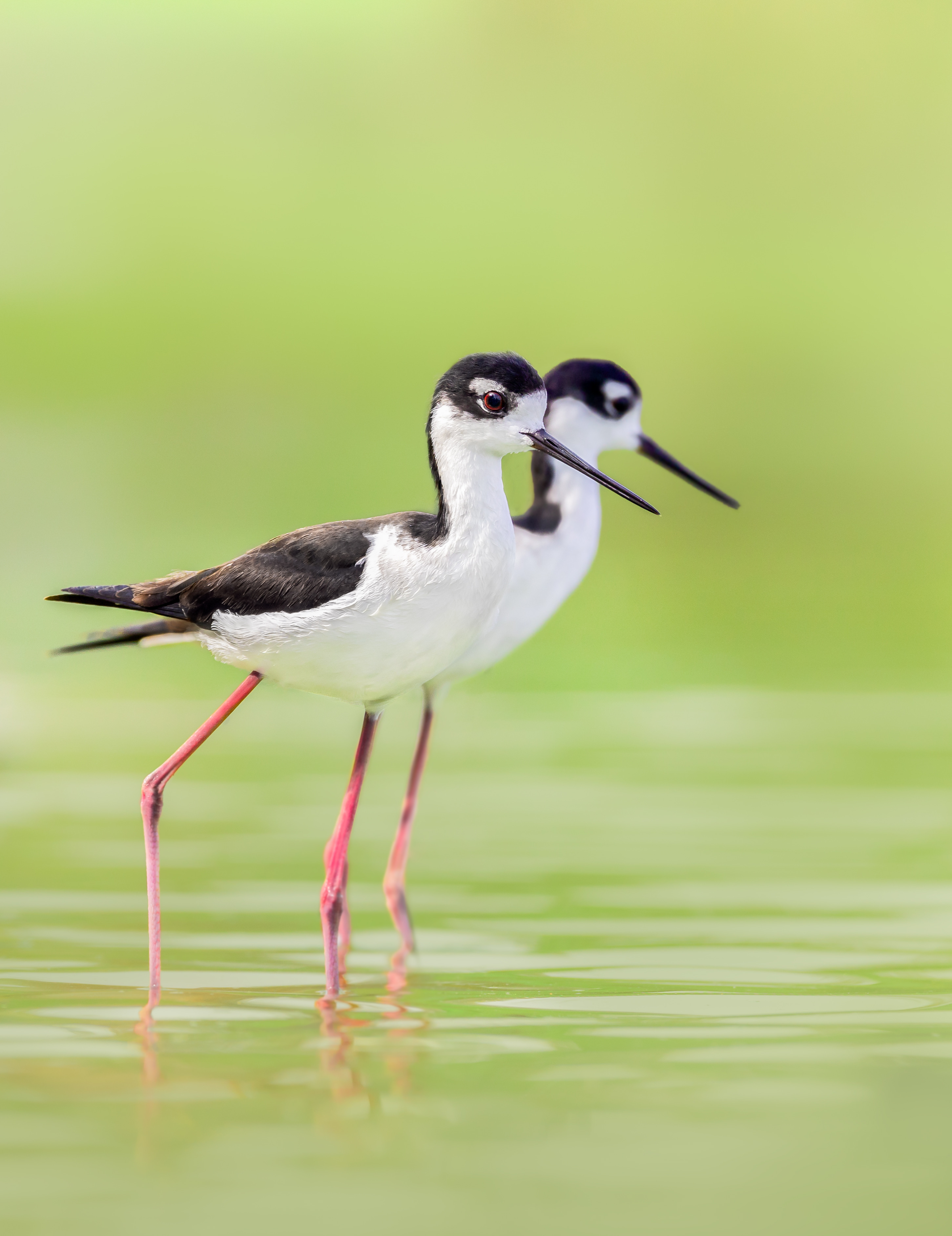 , Maikel Valle Clara