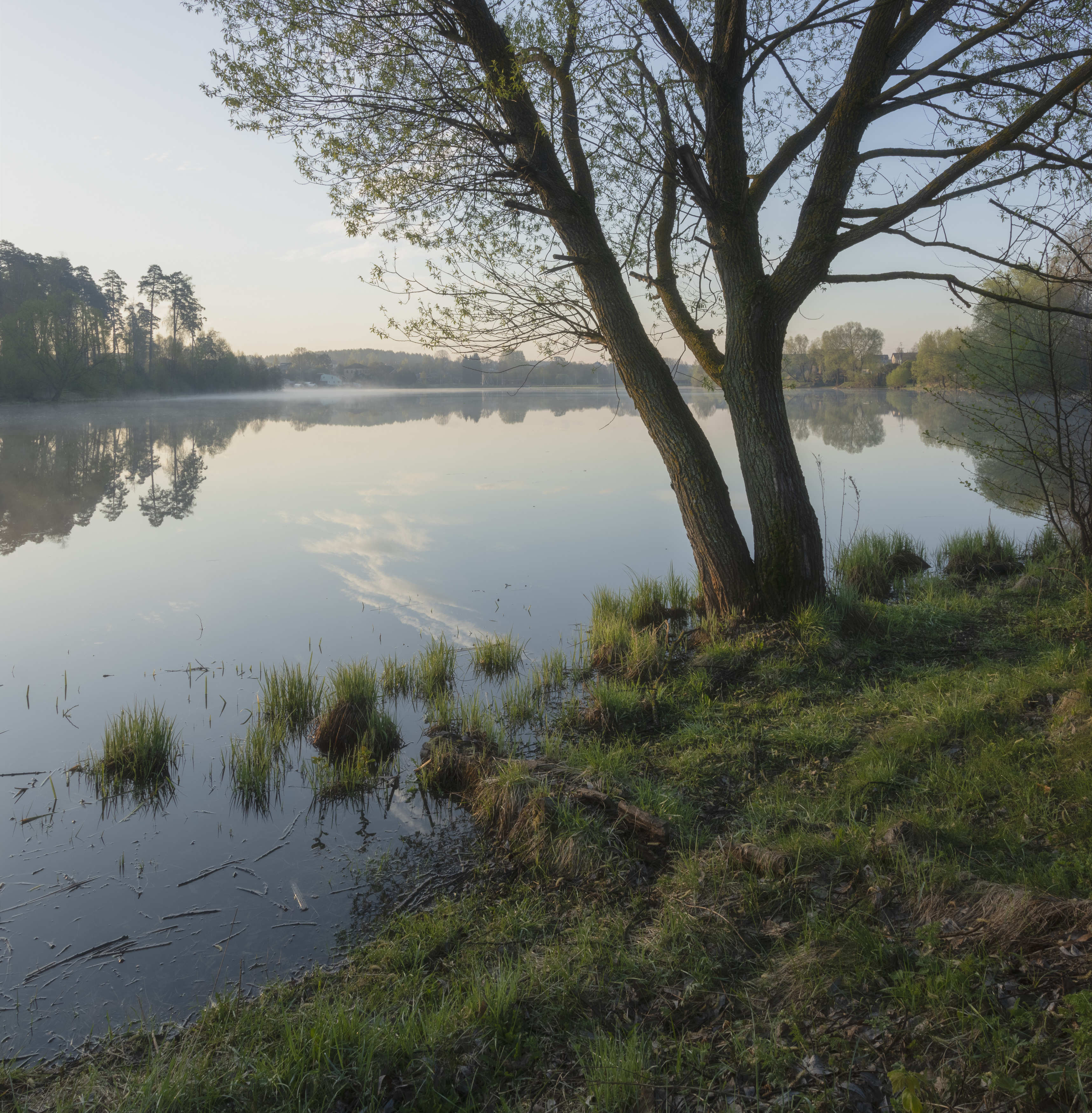 , Бонина Ольга