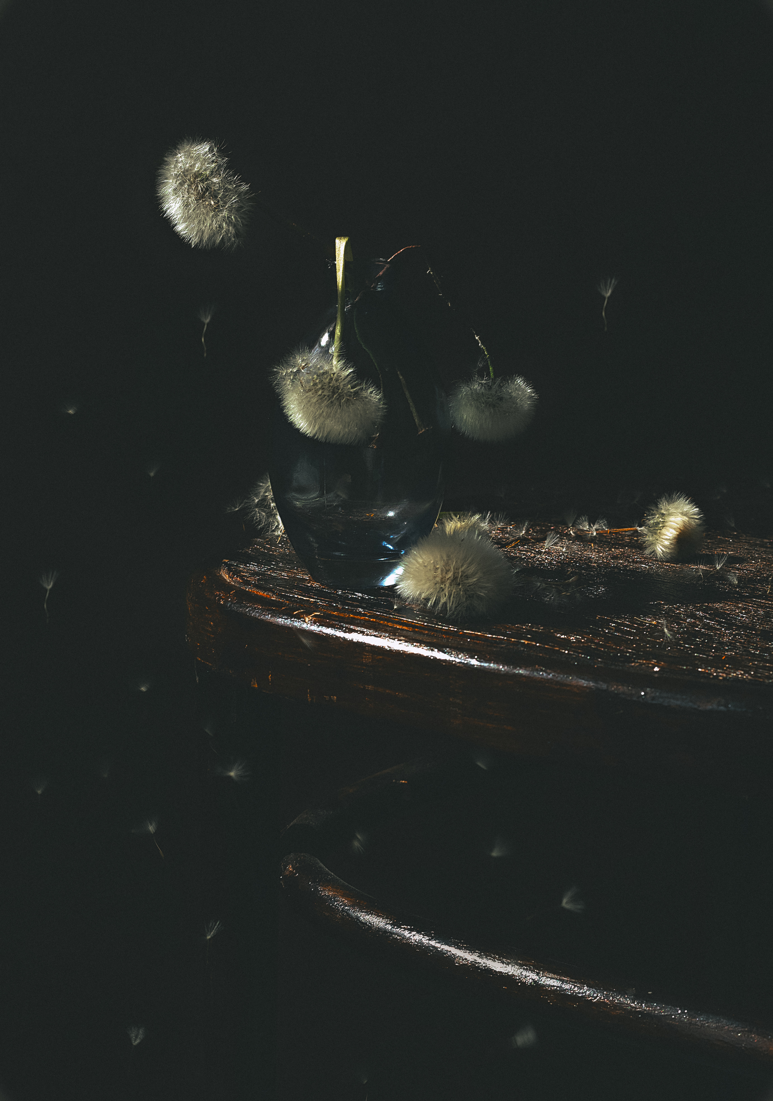 , Александра