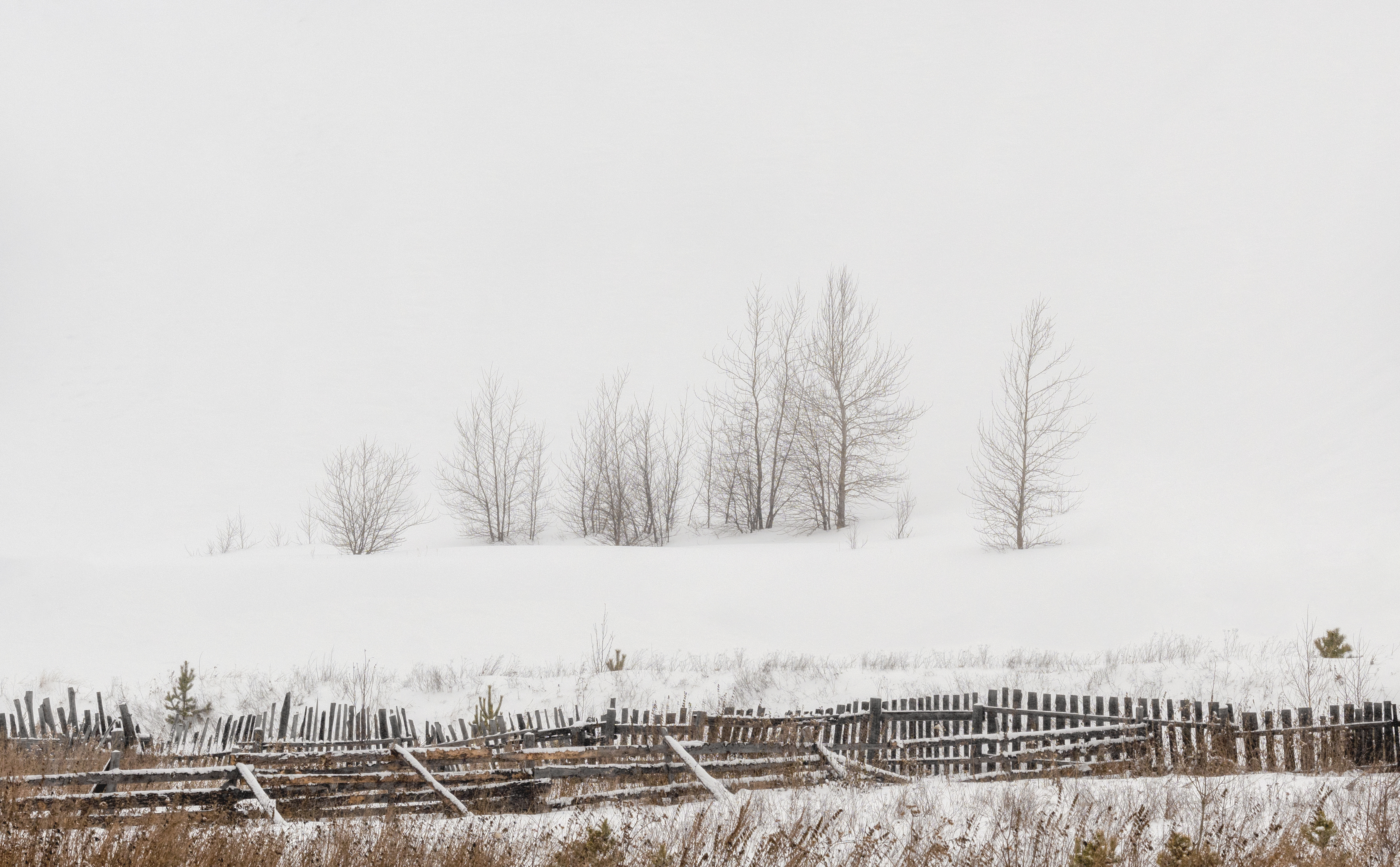 урал, россия, утро,, Евгений Гецев