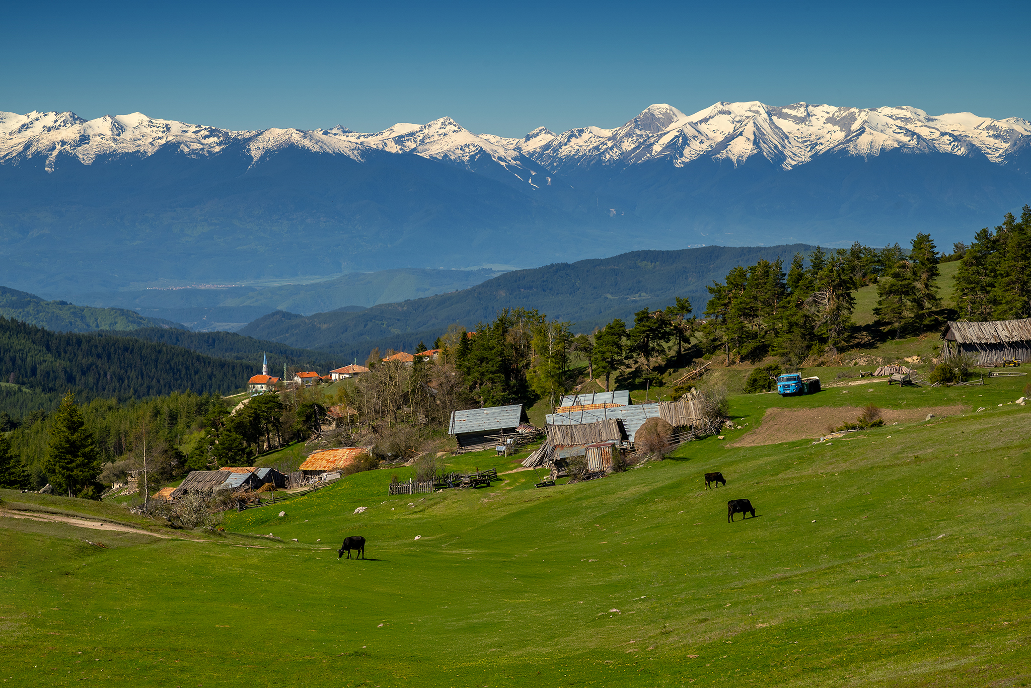 , Георгиев Иван