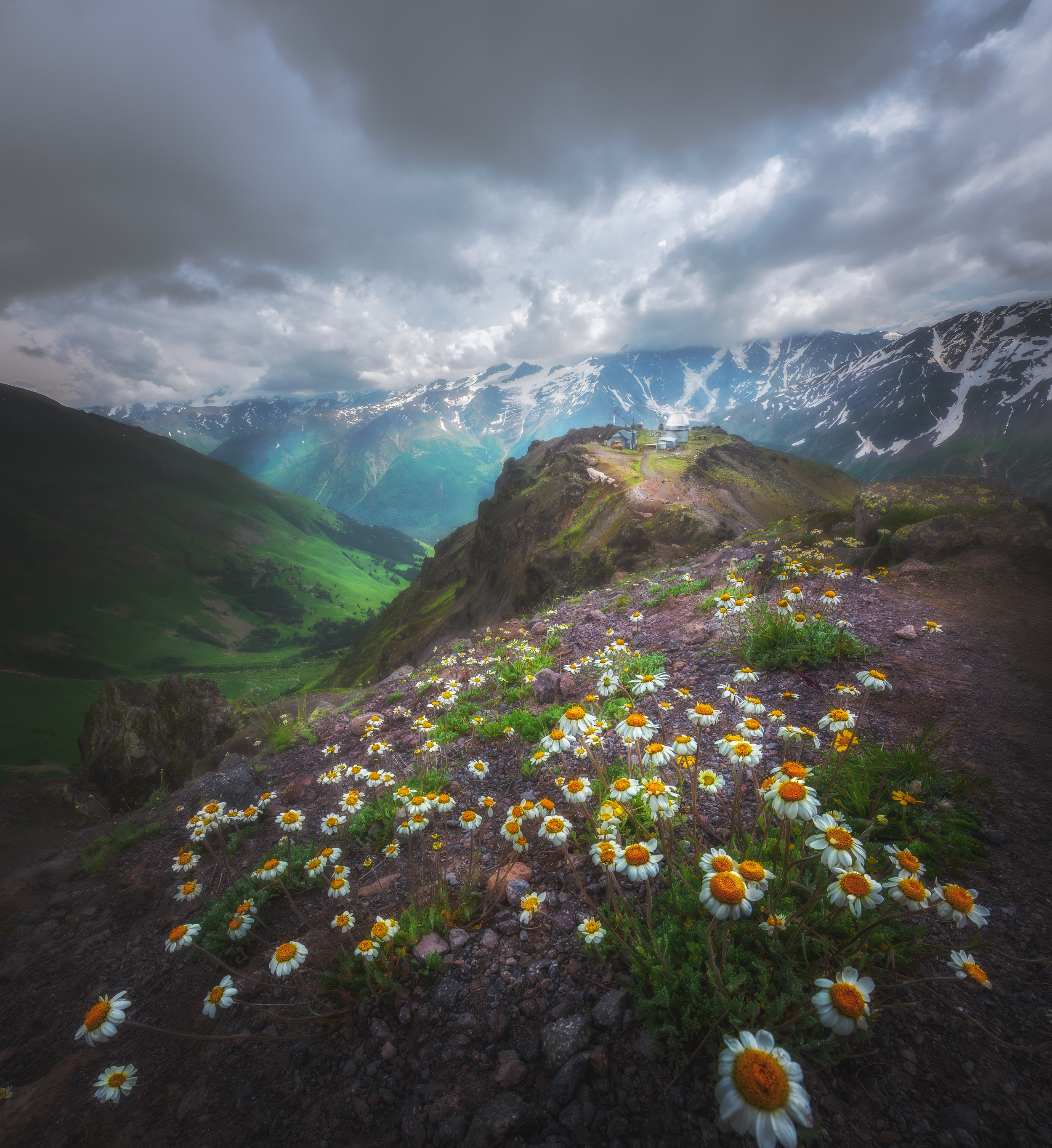 горы,кавказ, терскол, обсерватория, ромашки, Nargiza Kakharova