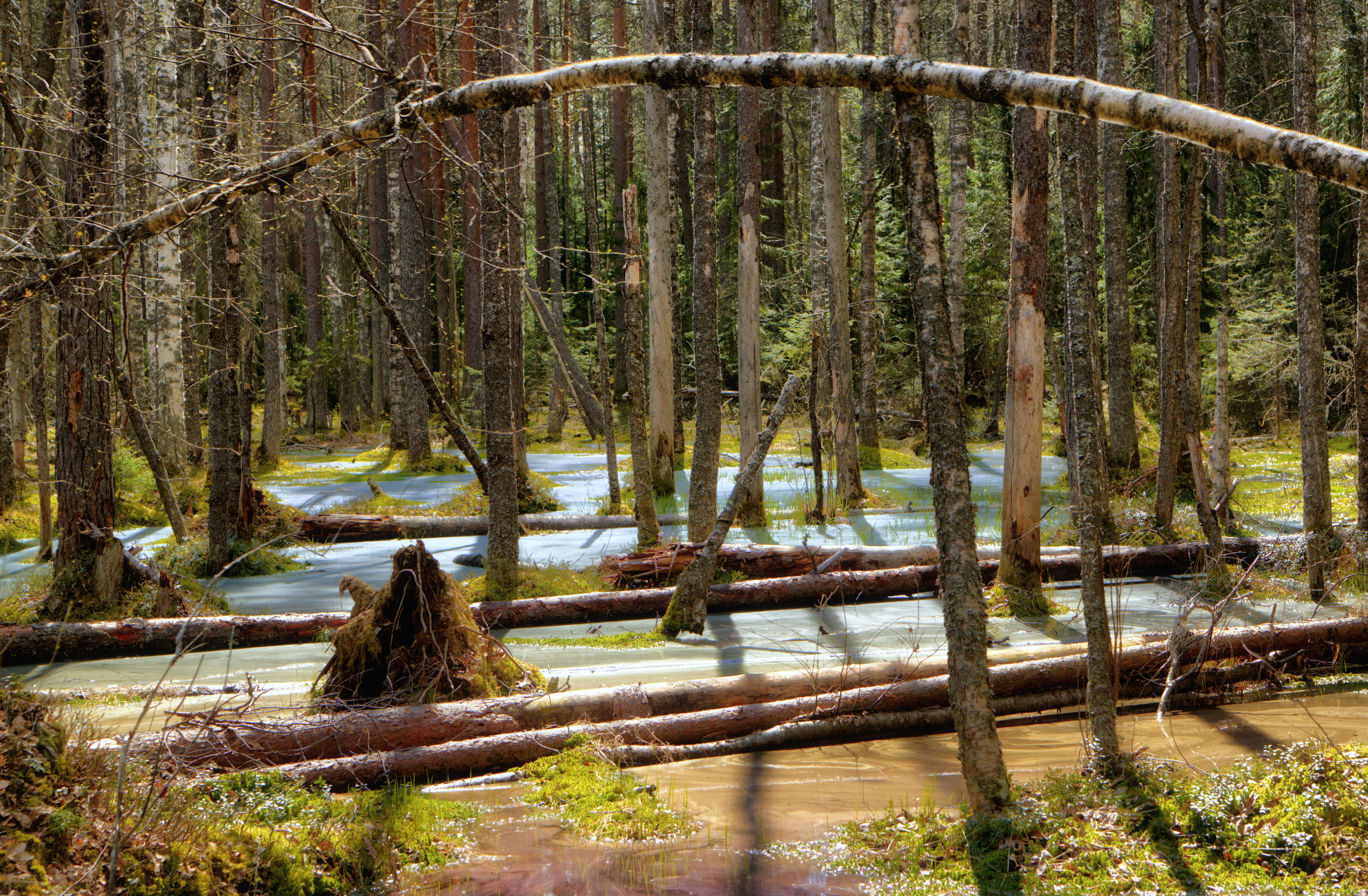, Голубцов Вячеслав