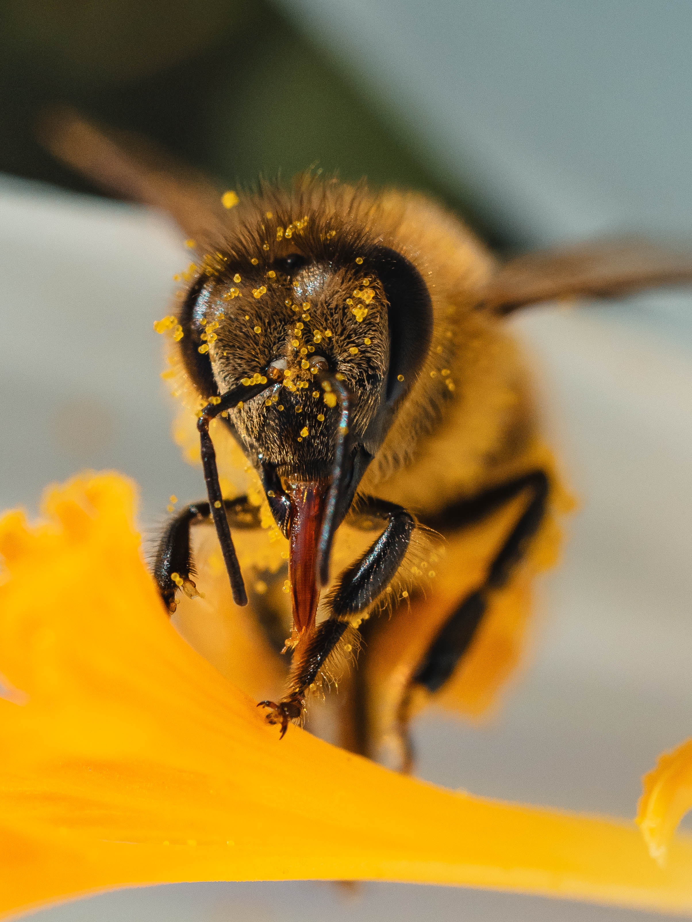 , Ирина Протченко