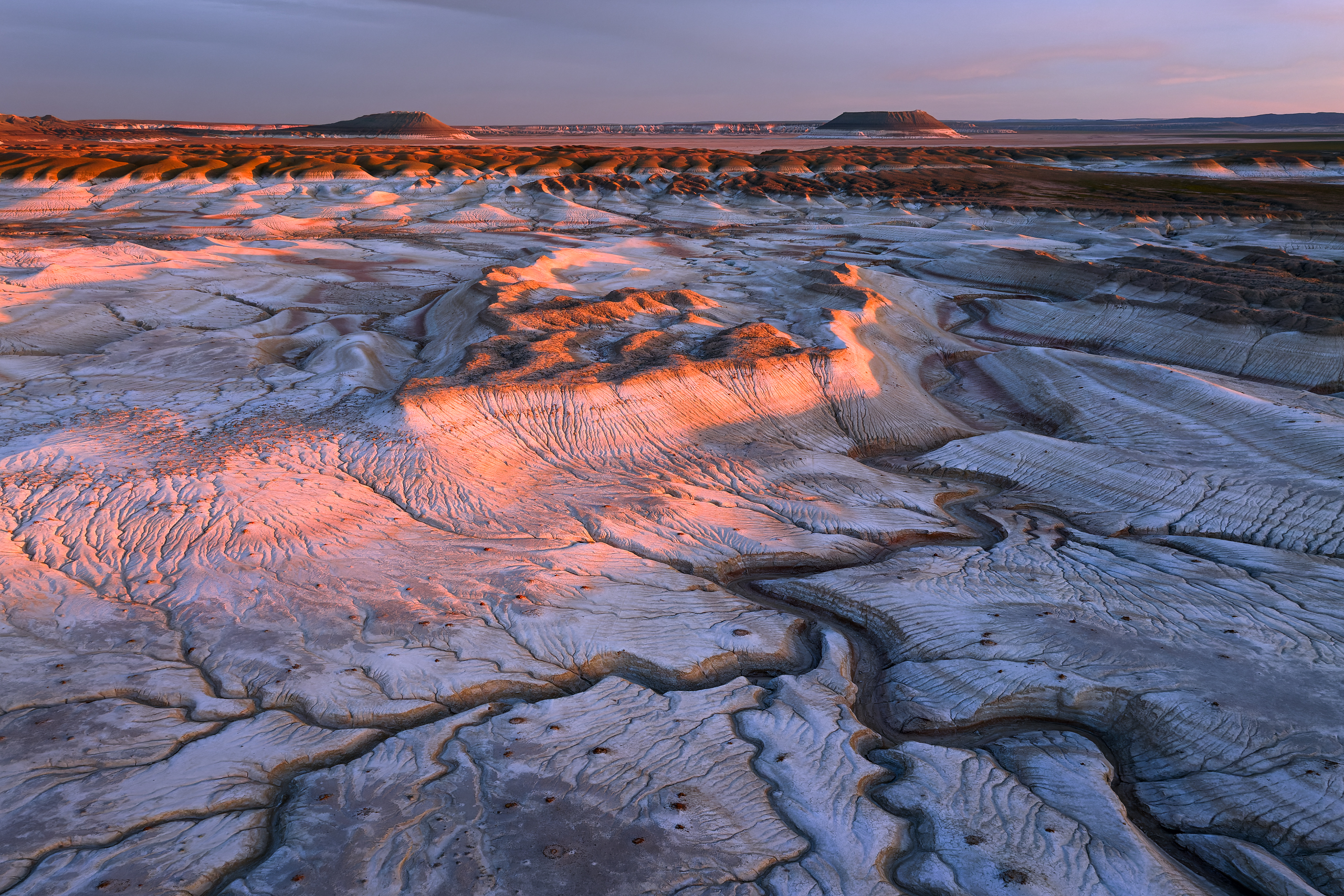 казахстан, Евдокимов Максим
