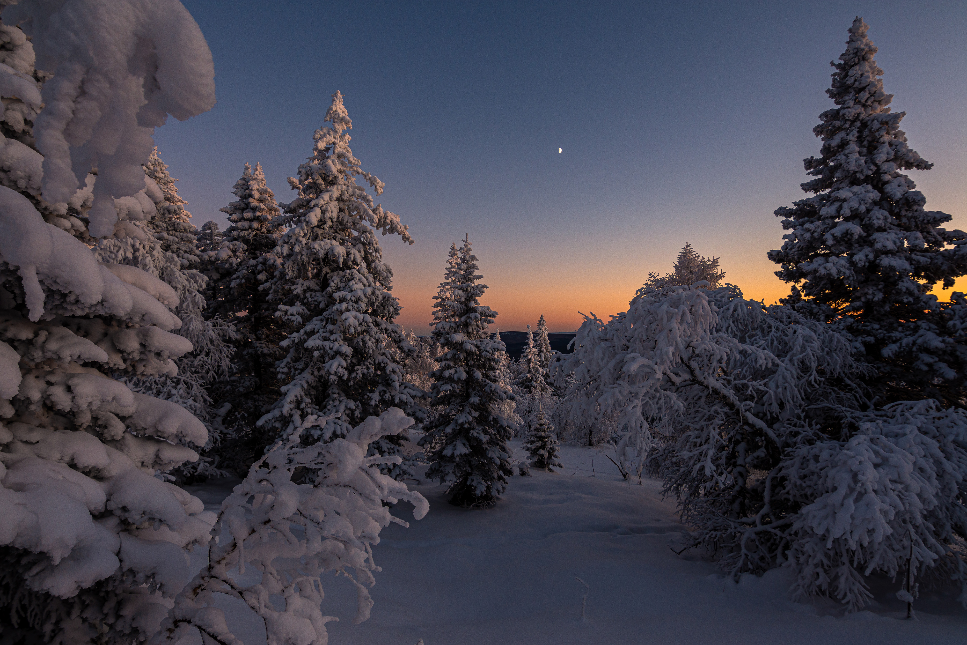 , Андрей Шарапов