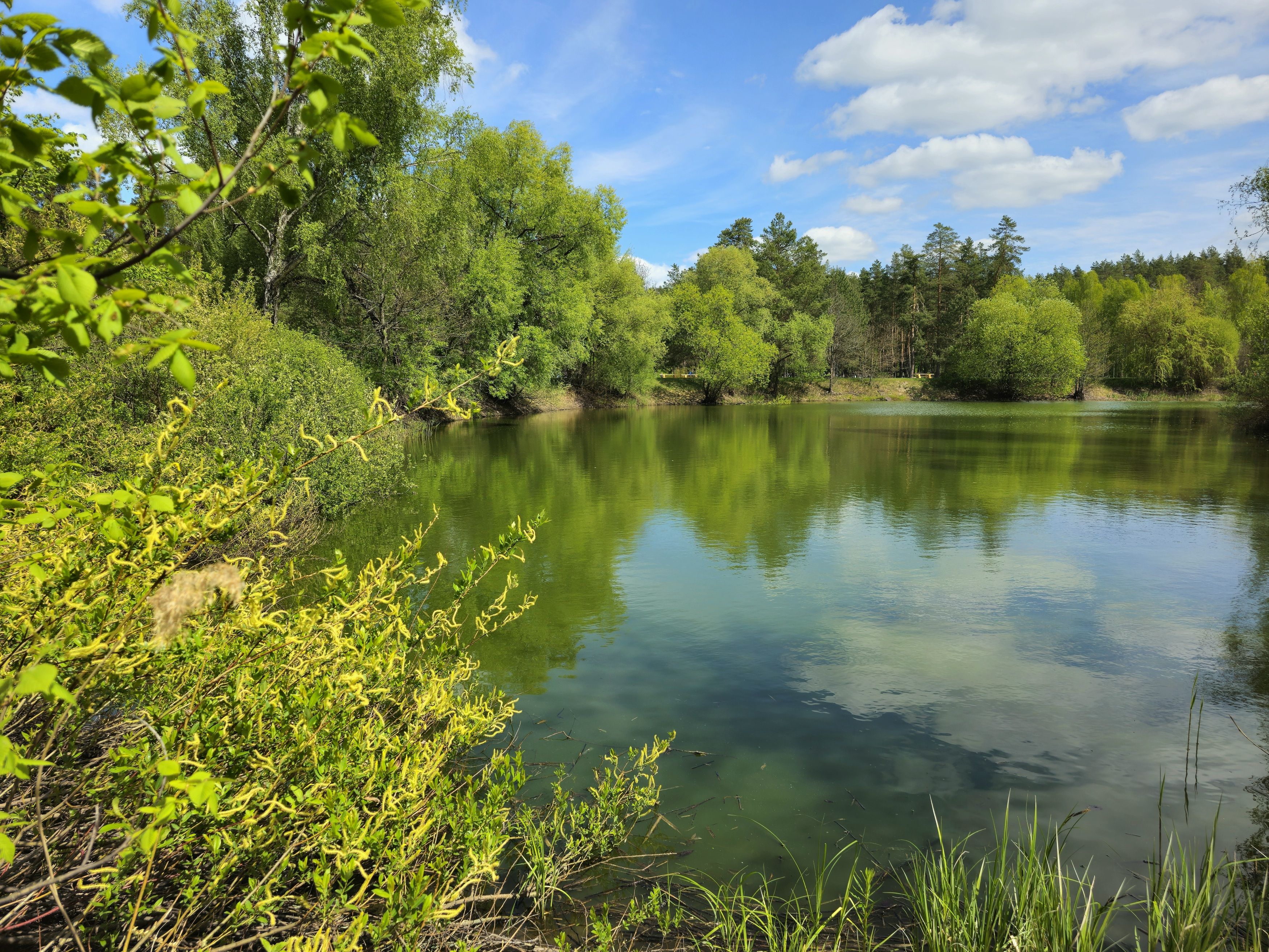 , Мария Яковлева