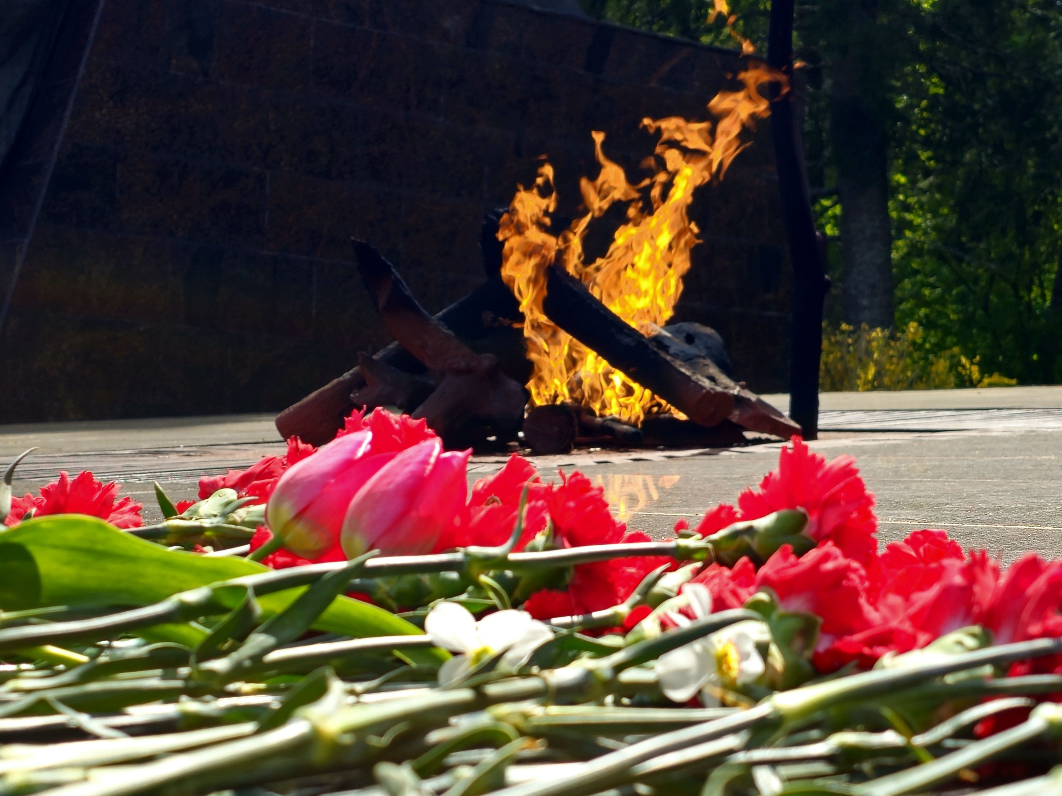 , Мария Яковлева