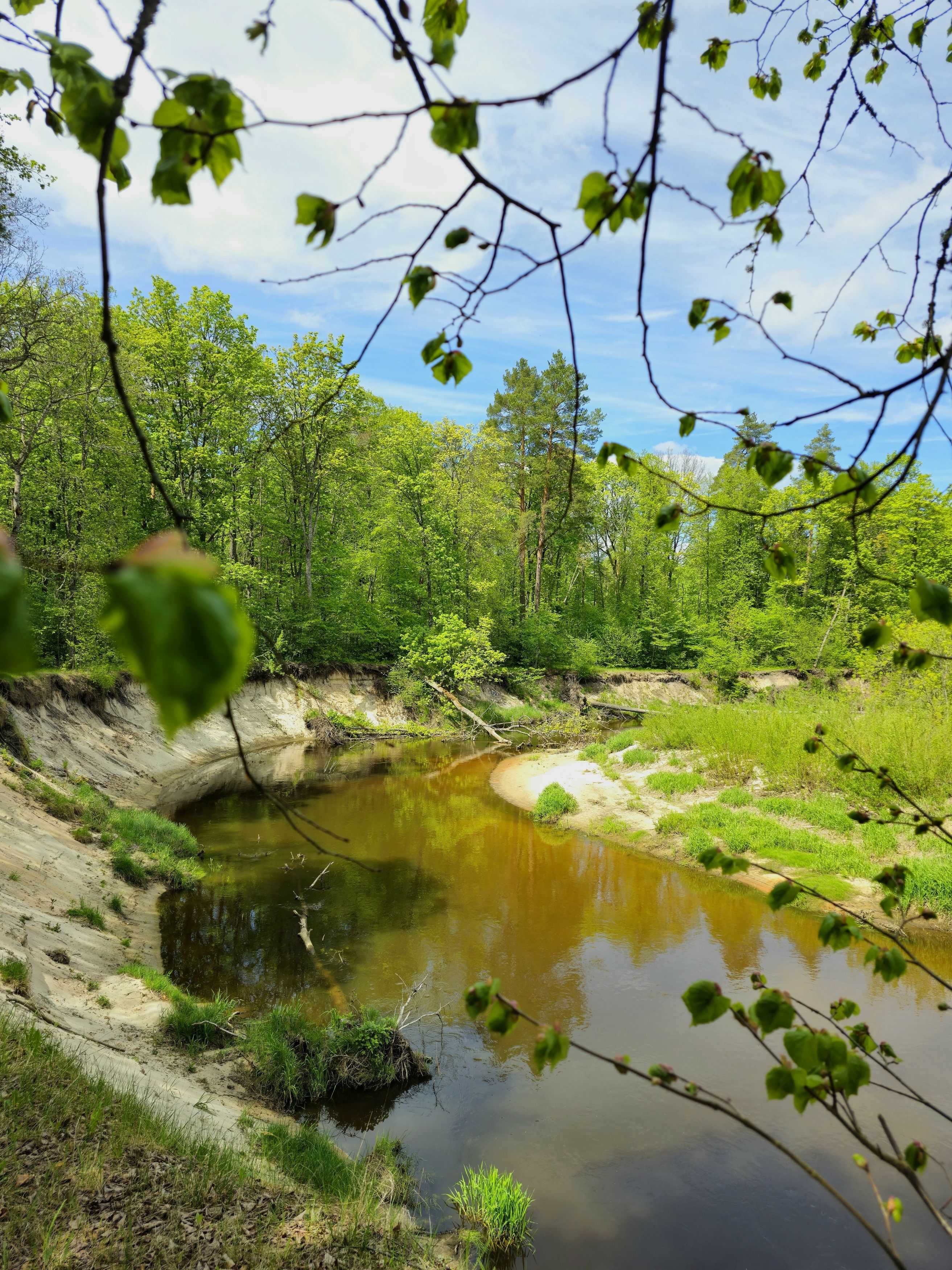 , Мария Яковлева