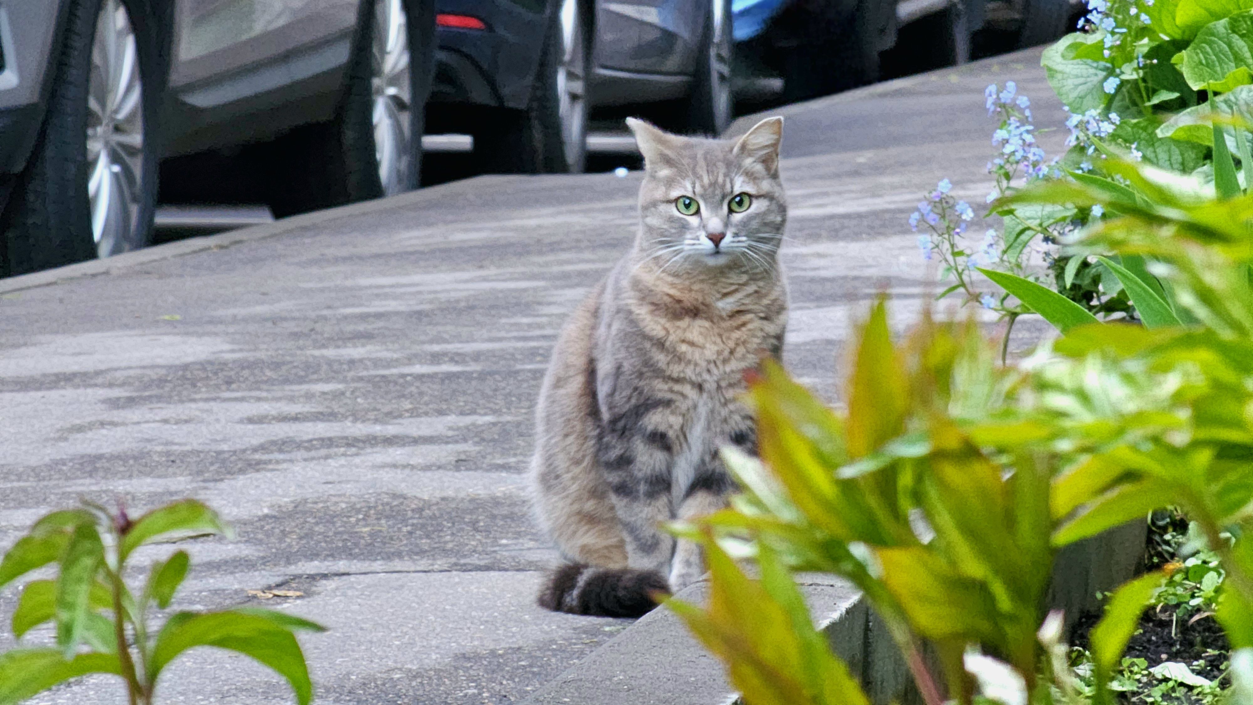 , Мария Яковлева