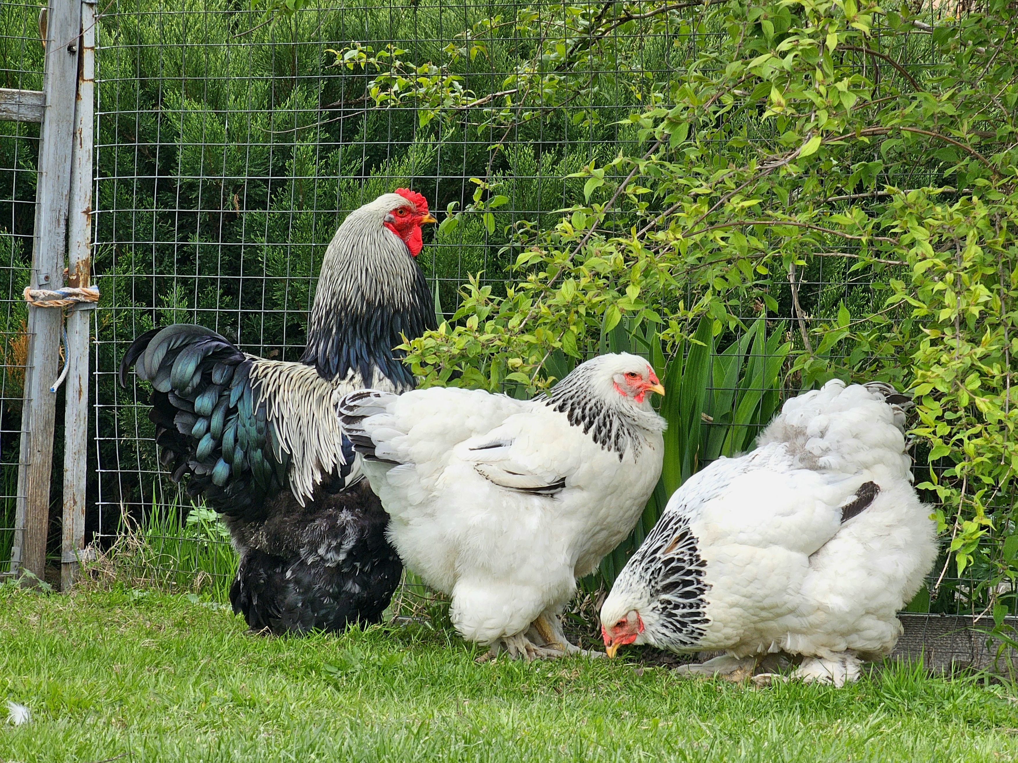, Мария Яковлева