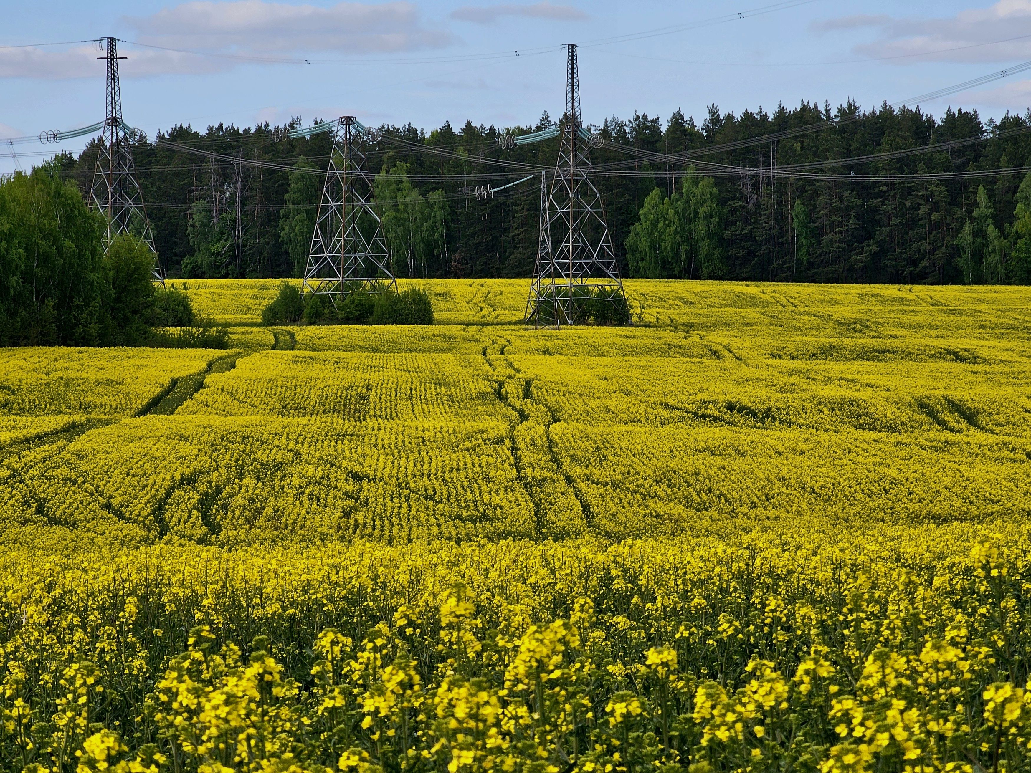 , Мария Яковлева