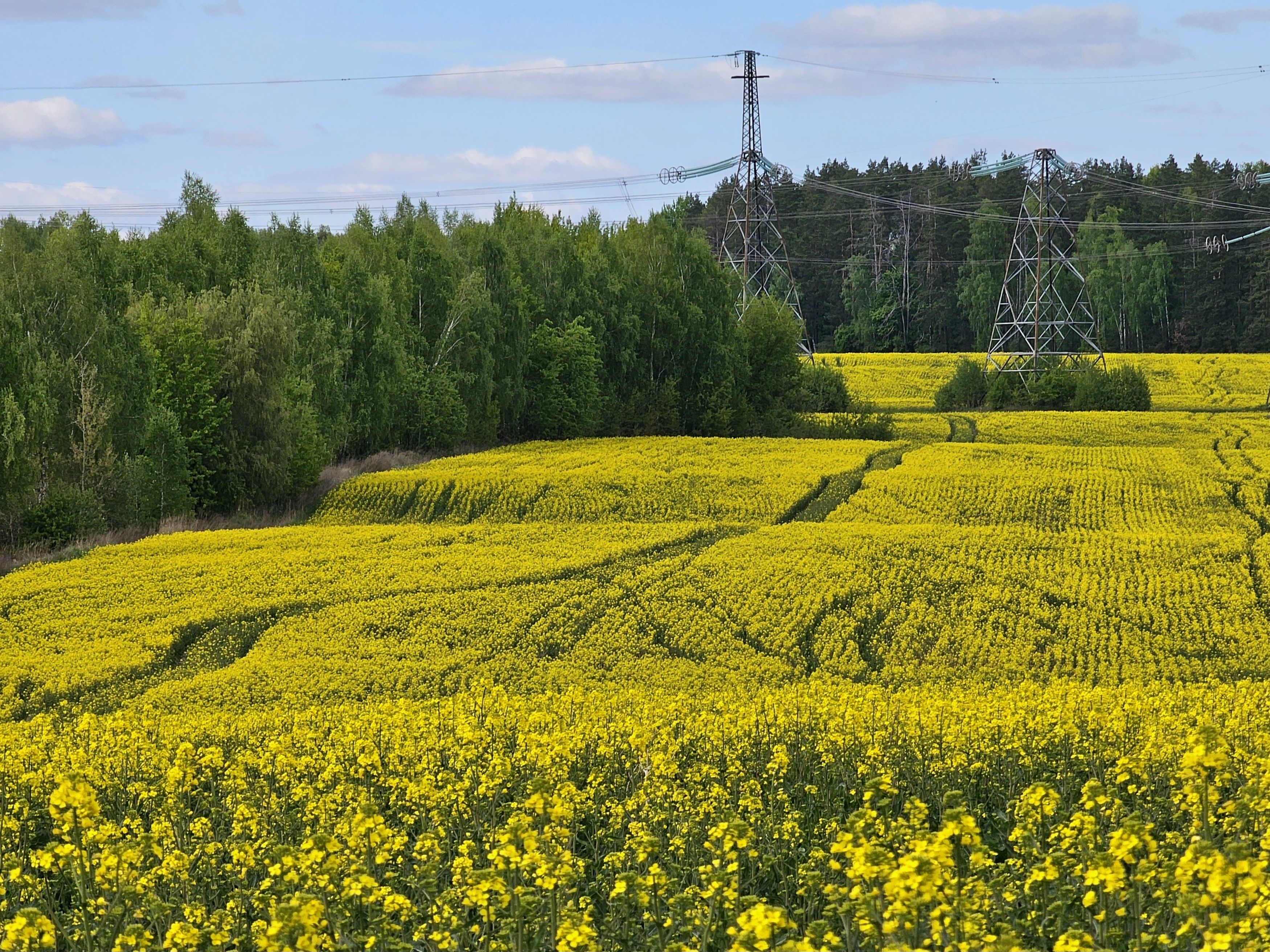 , Мария Яковлева