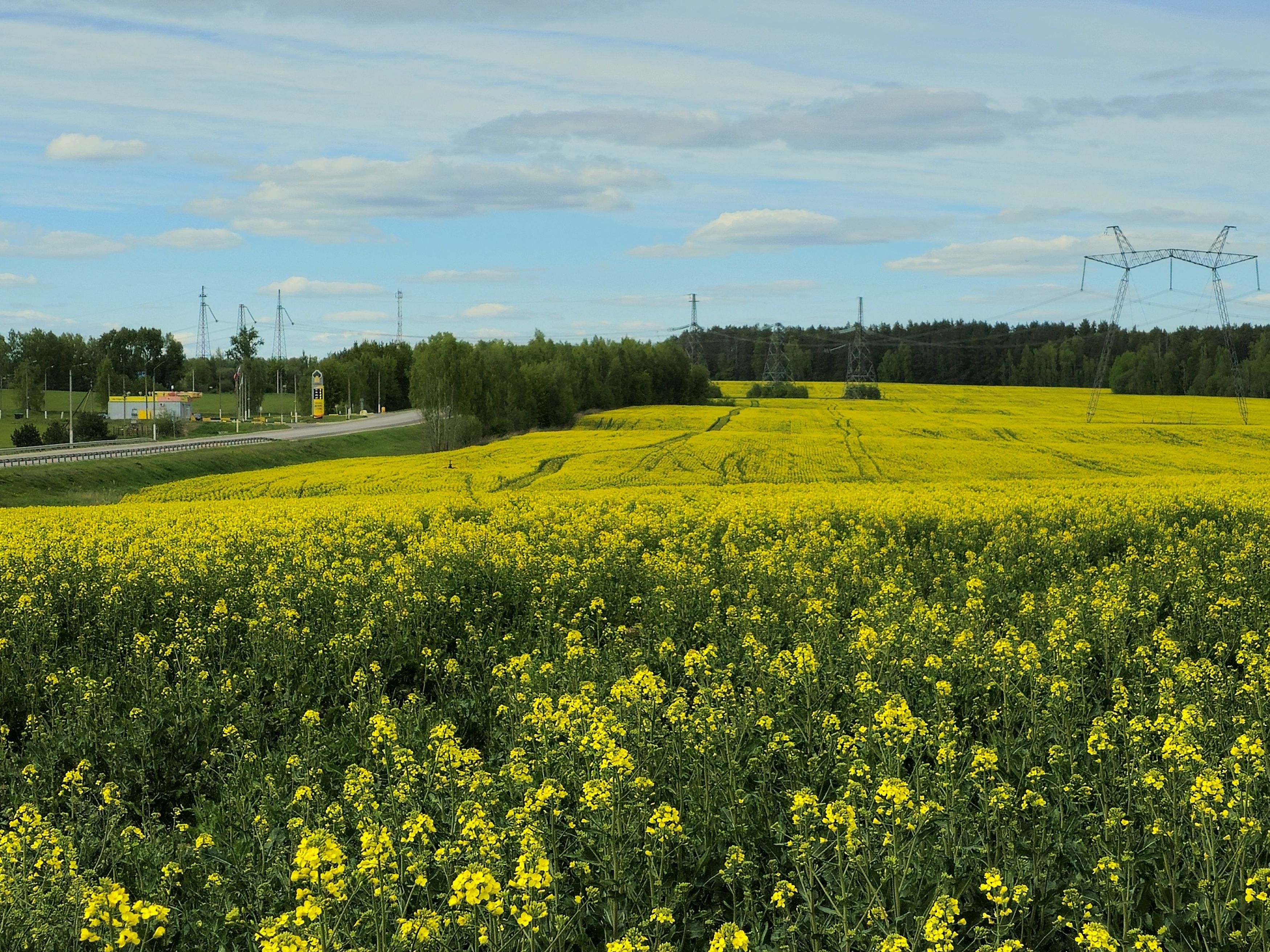 , Мария Яковлева