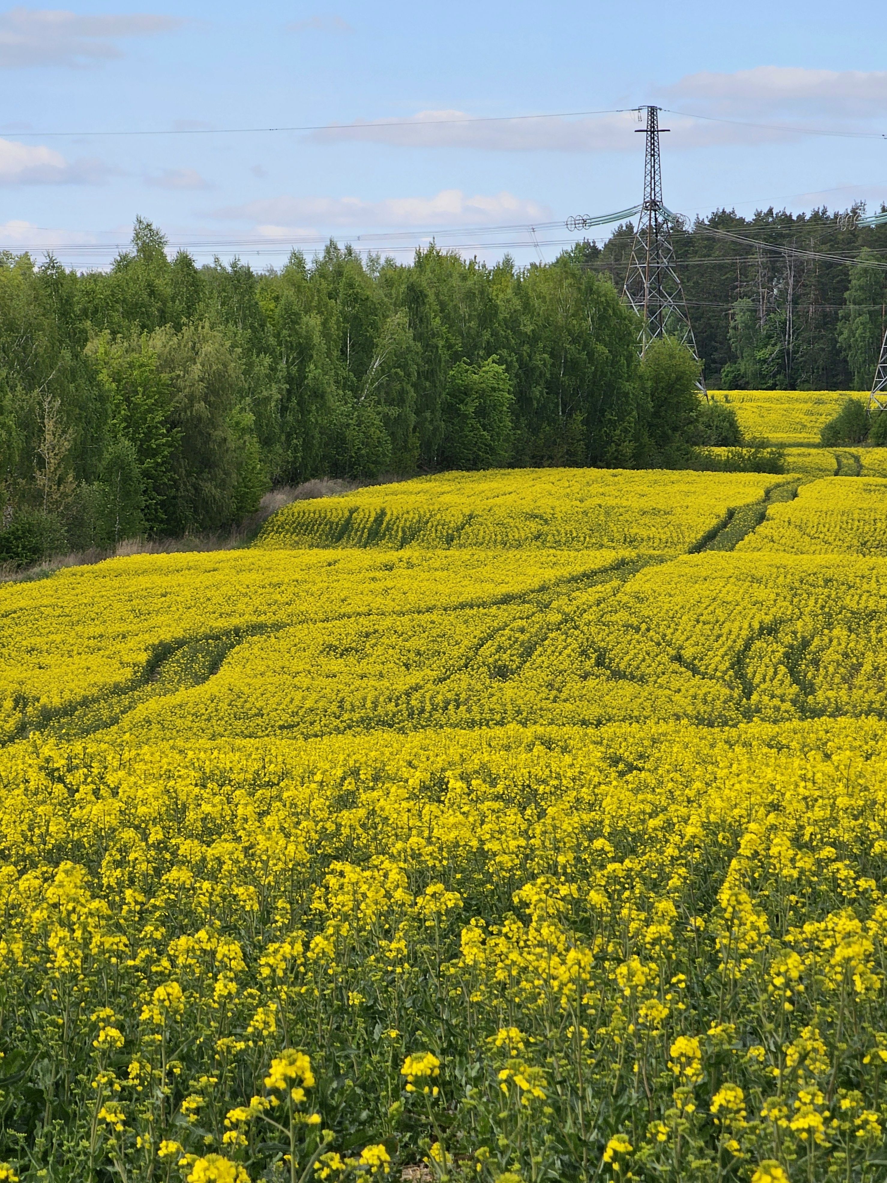 , Мария Яковлева