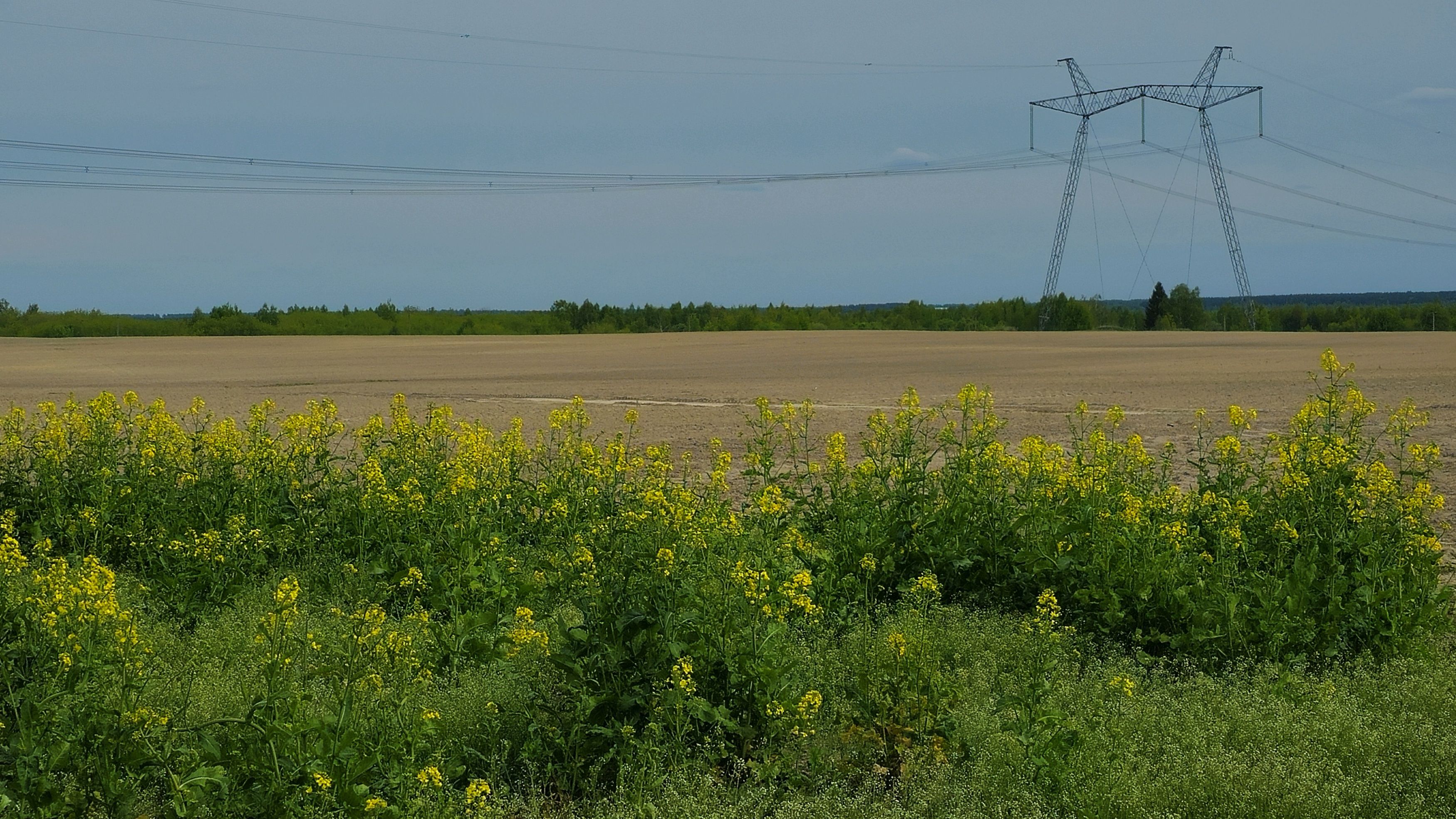 , Мария Яковлева