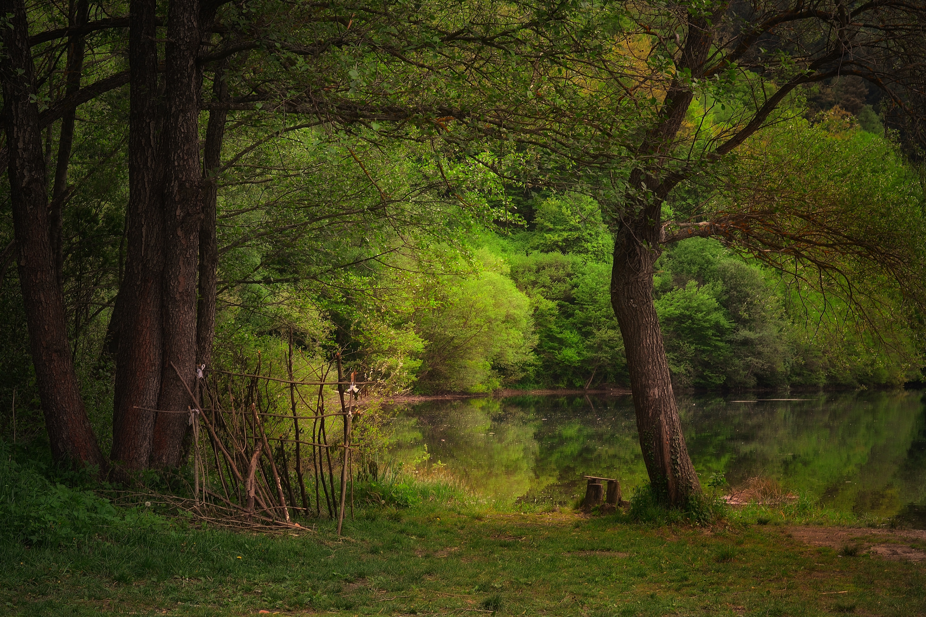 , Юлияна Стоянова