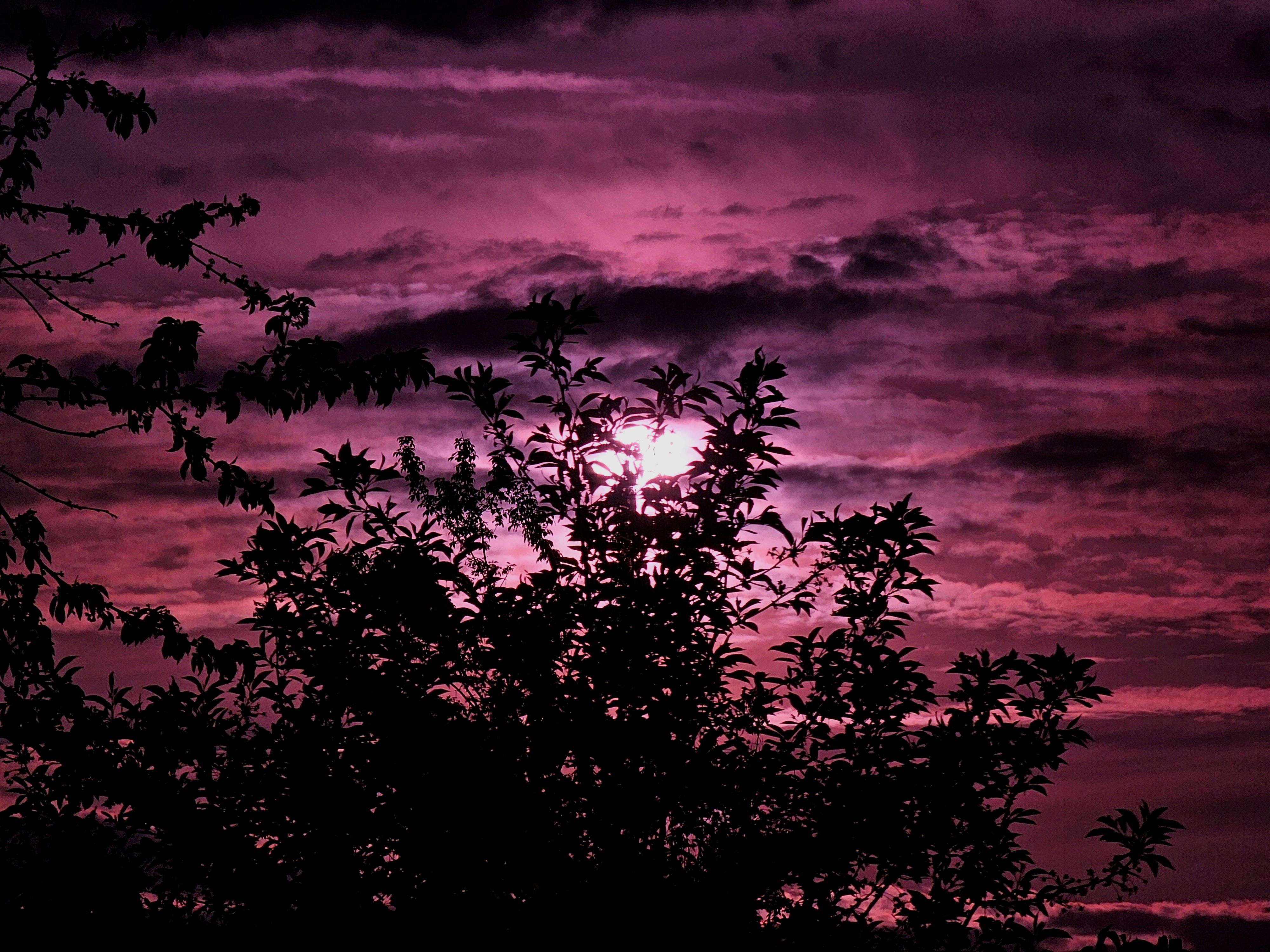 , Мария Яковлева