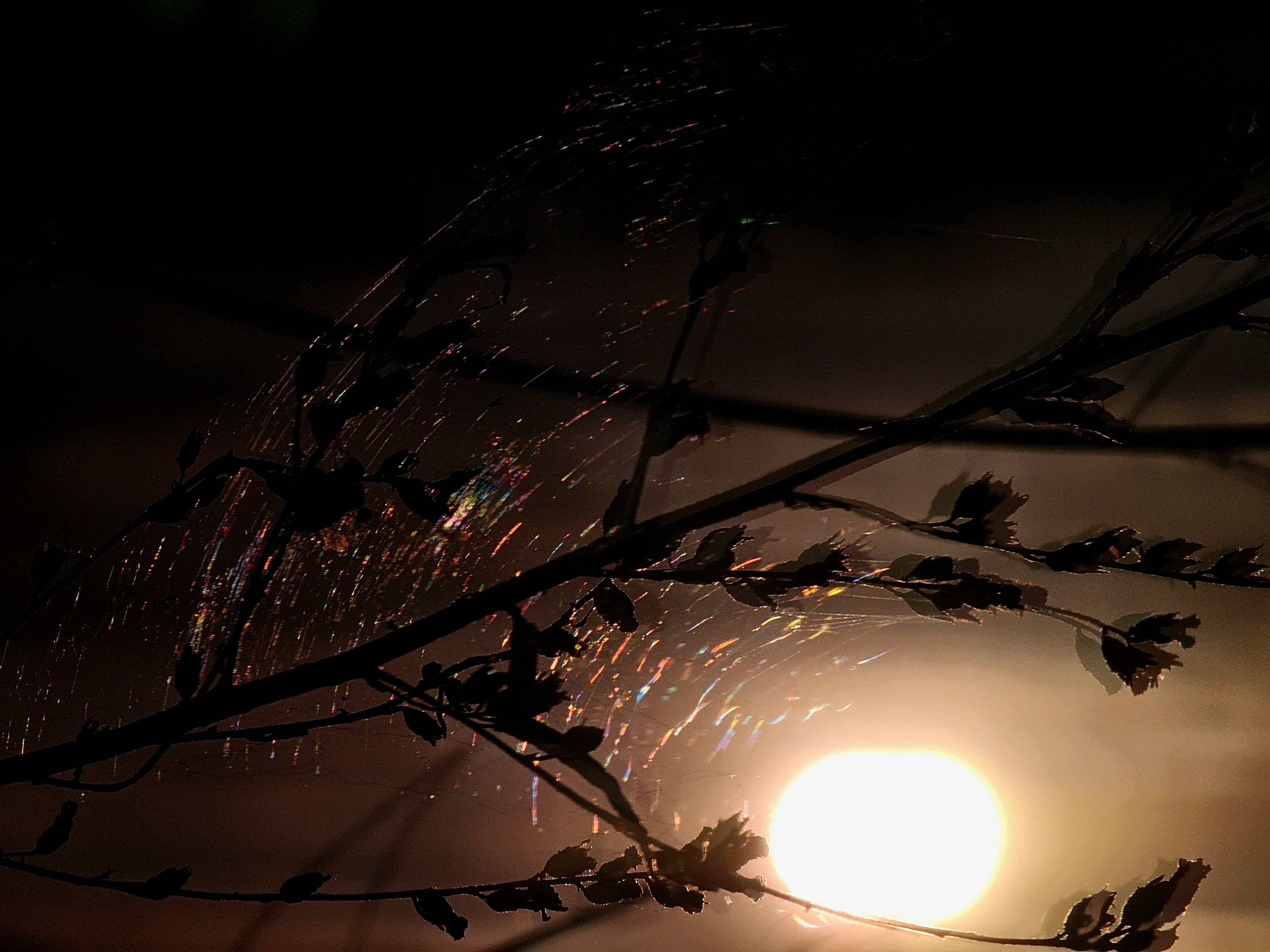 , Мария Яковлева