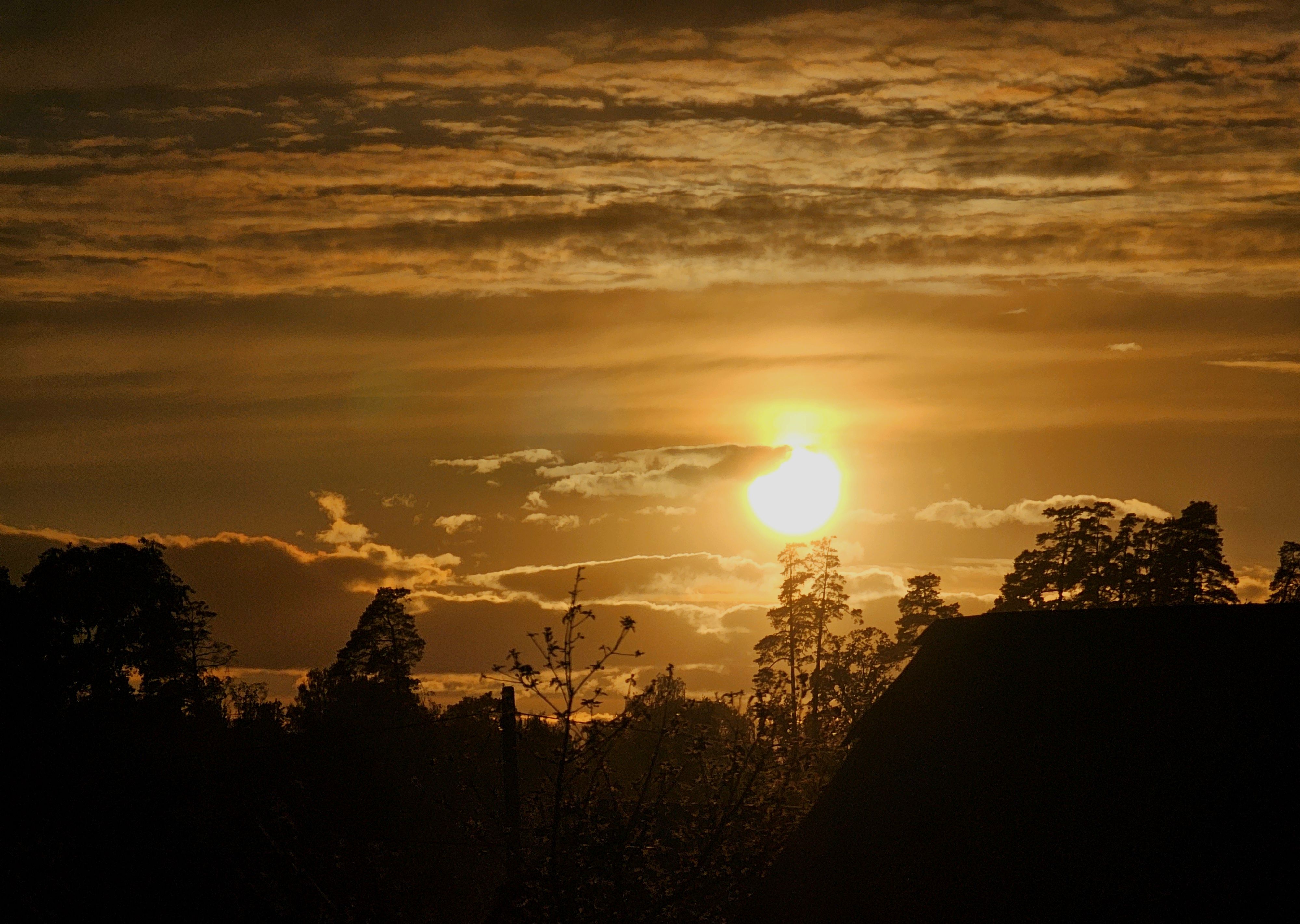 , Мария Яковлева