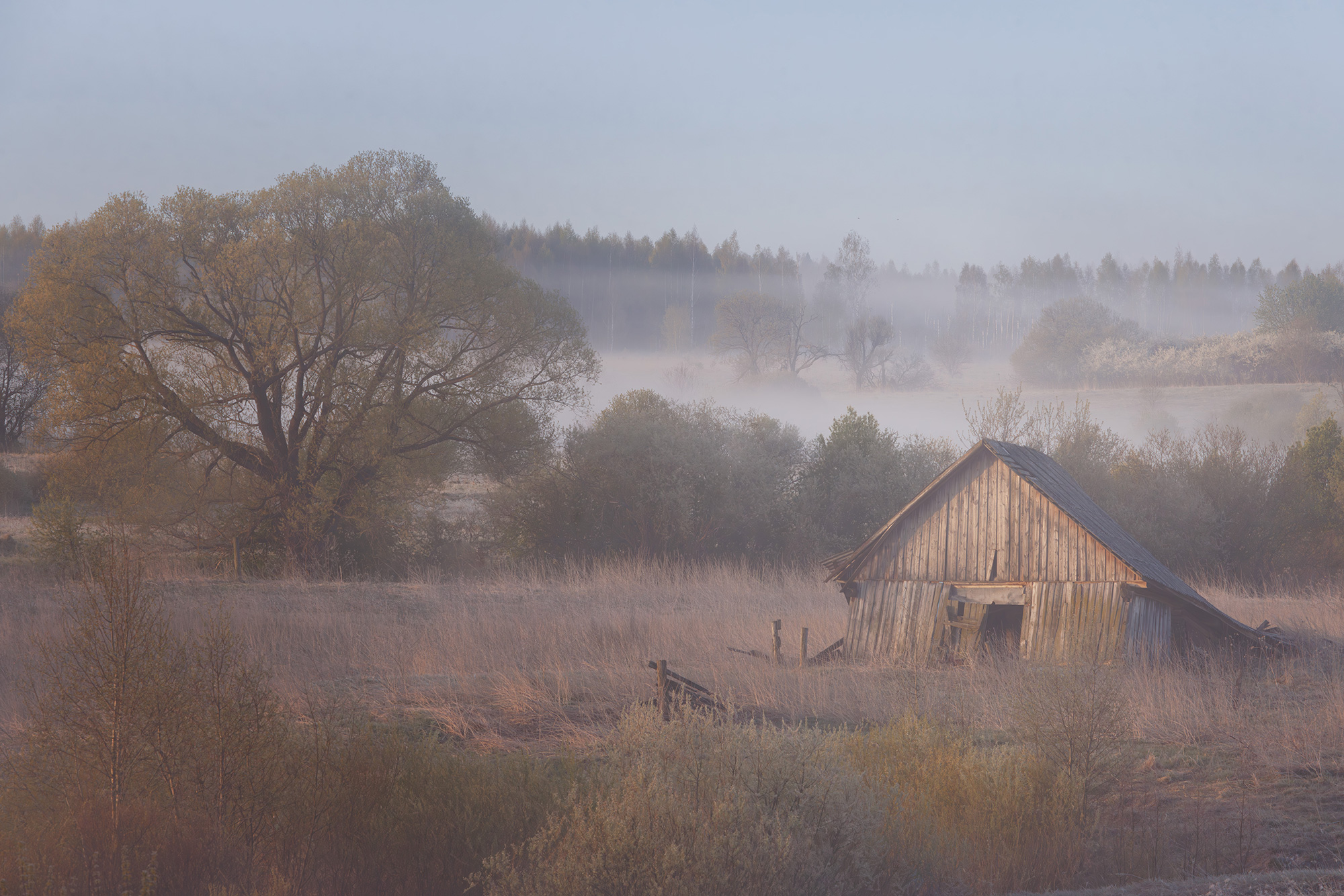 , Морозов Сергей