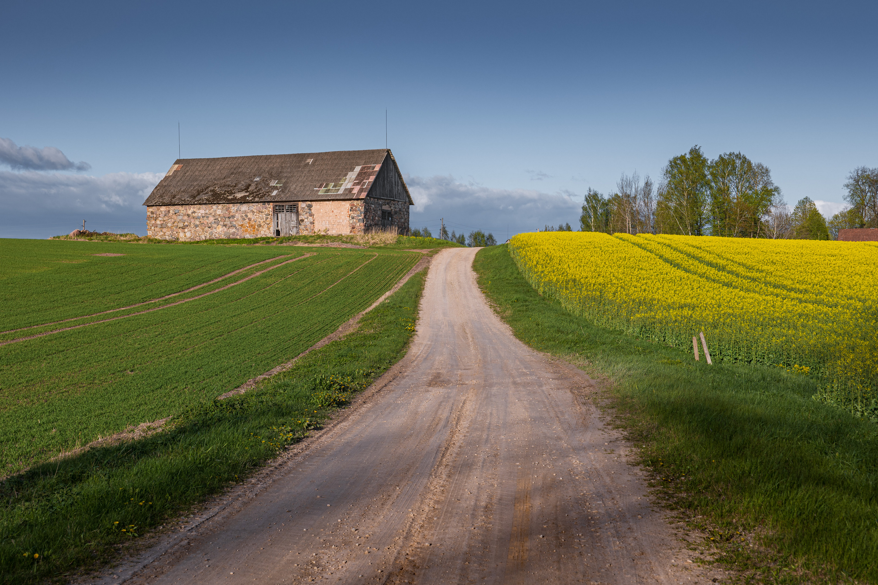 , Гордон Николай
