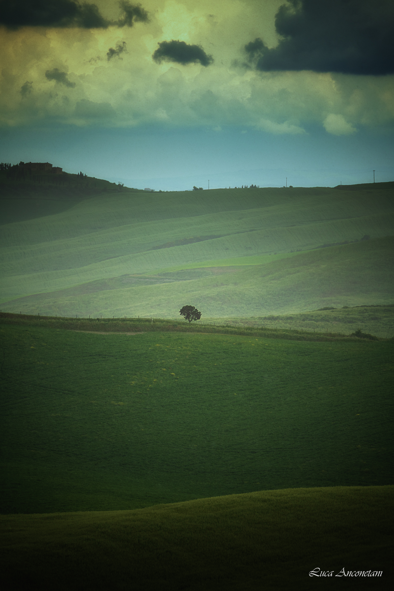 italy tuscany landscape nature fields tree rural crete senesi travel, Anconetani Luca