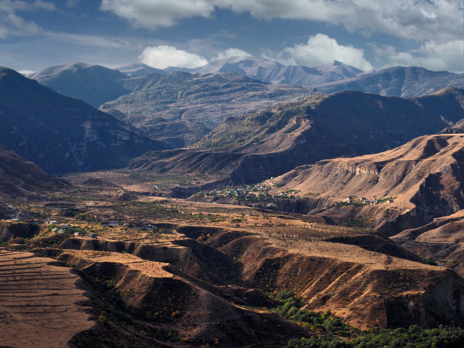 , Галина Хвостенко