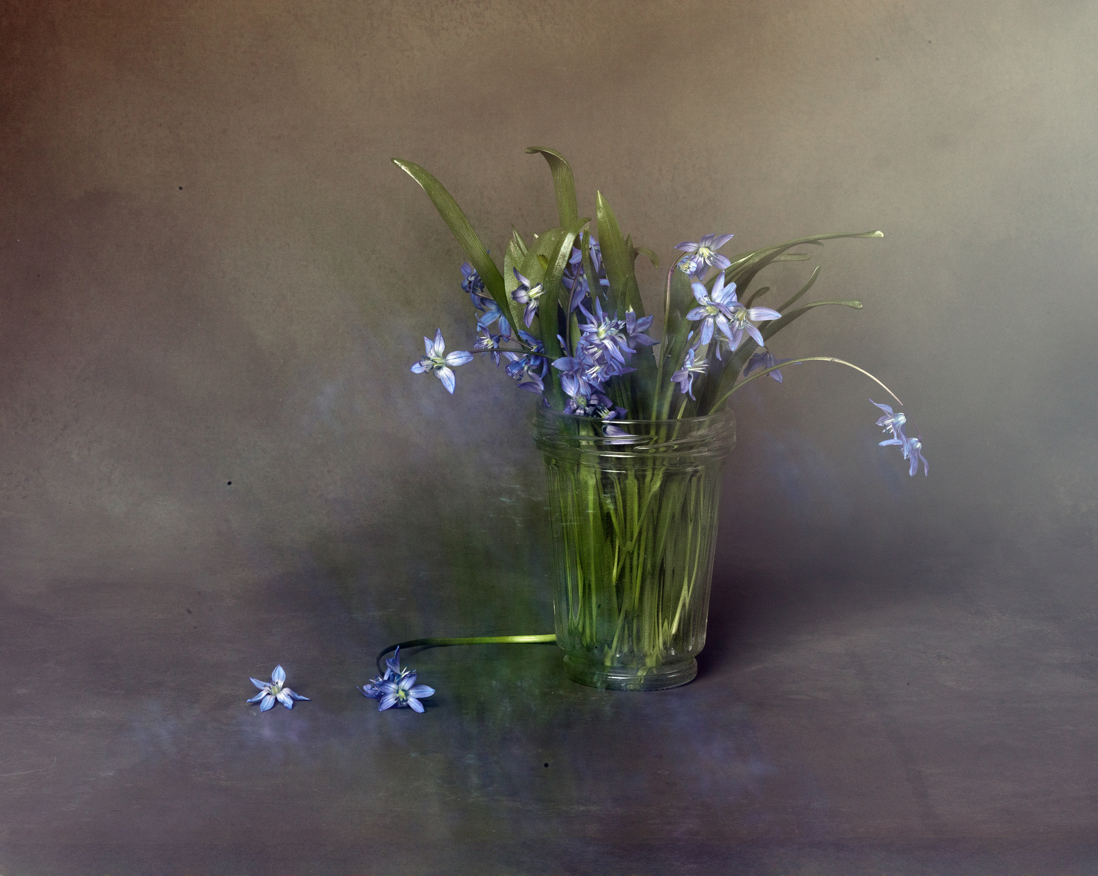 , Туева Наталья