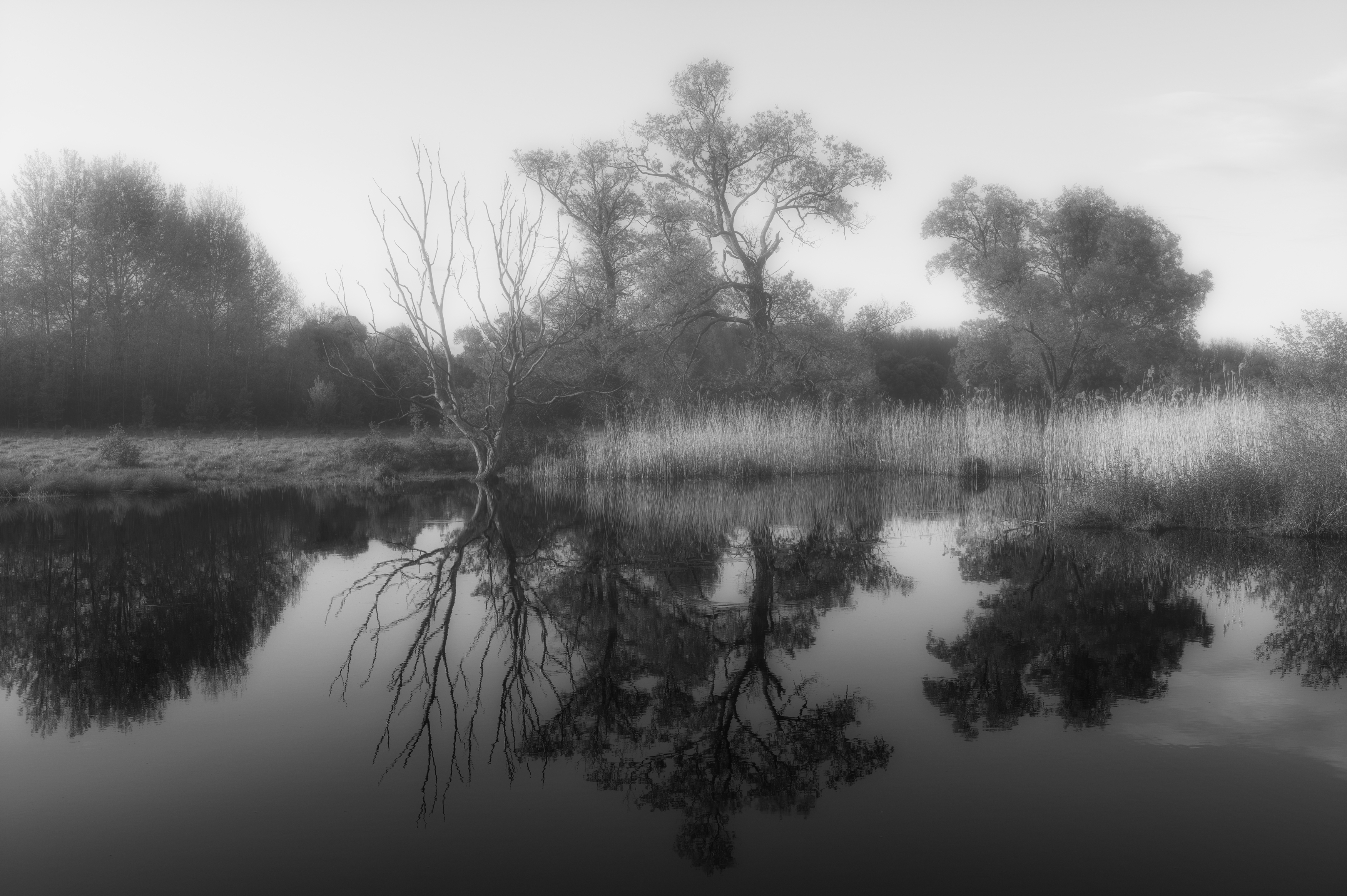 , Гайдук Евгений