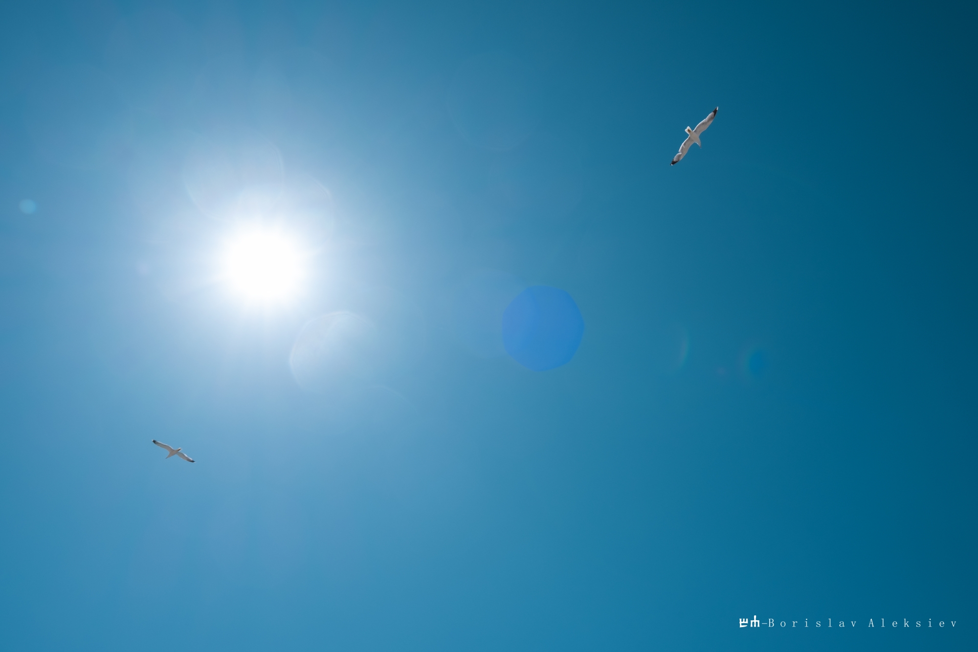 sky,blue,light,sunlight,birds,white,, Алексиев Борислав