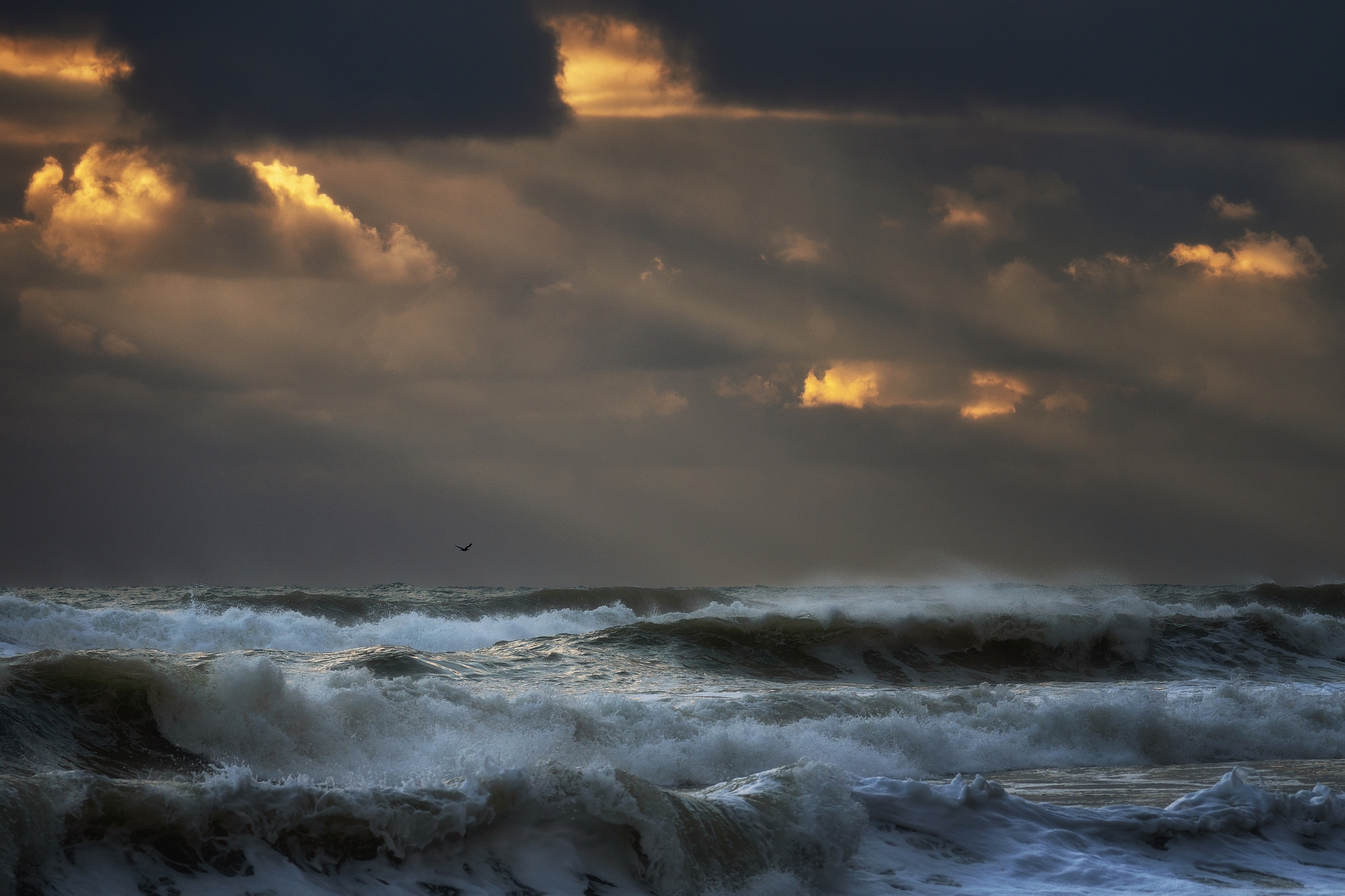 шторм волны море туапсе, Васин Сергей