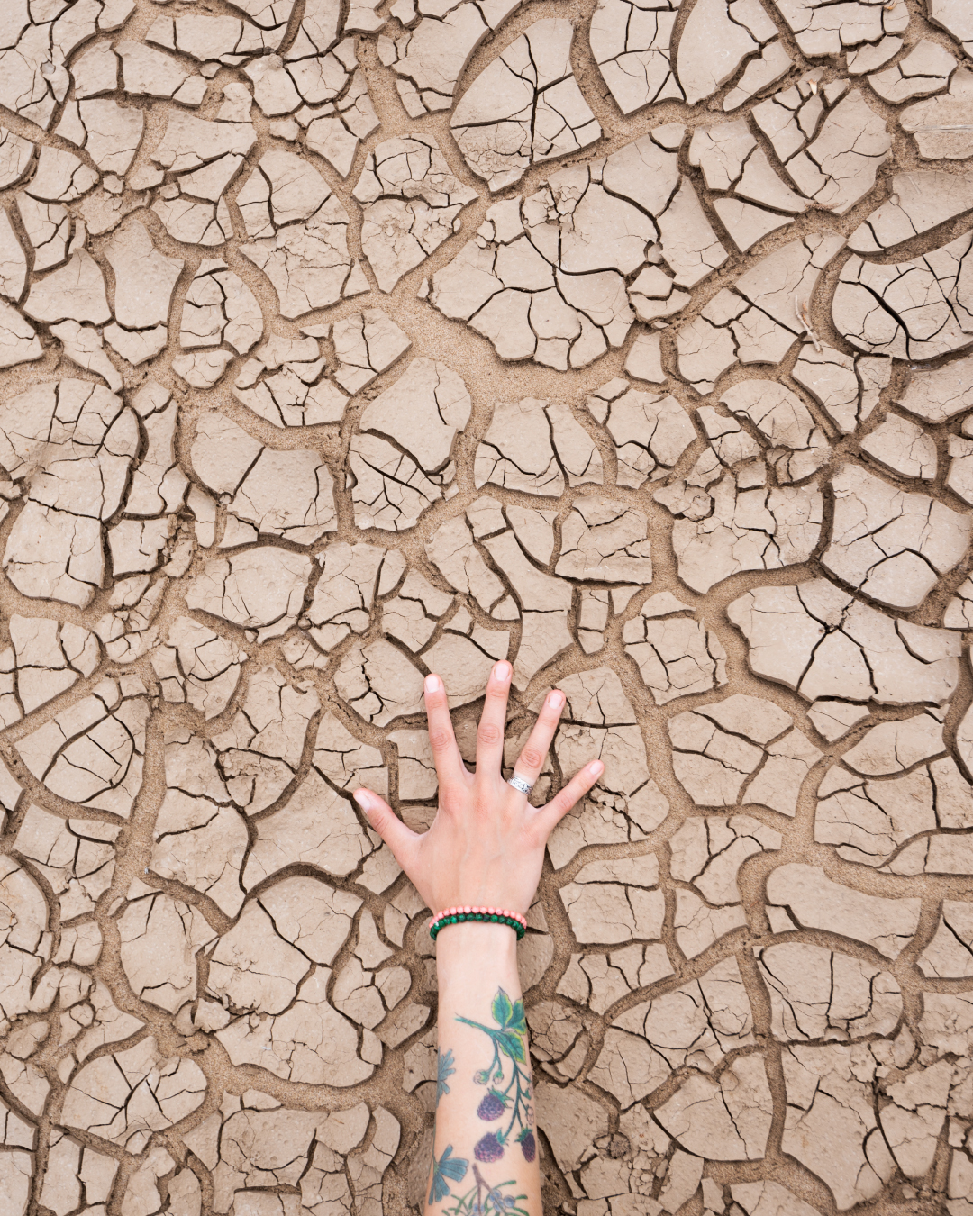 , Алексей Проняхин