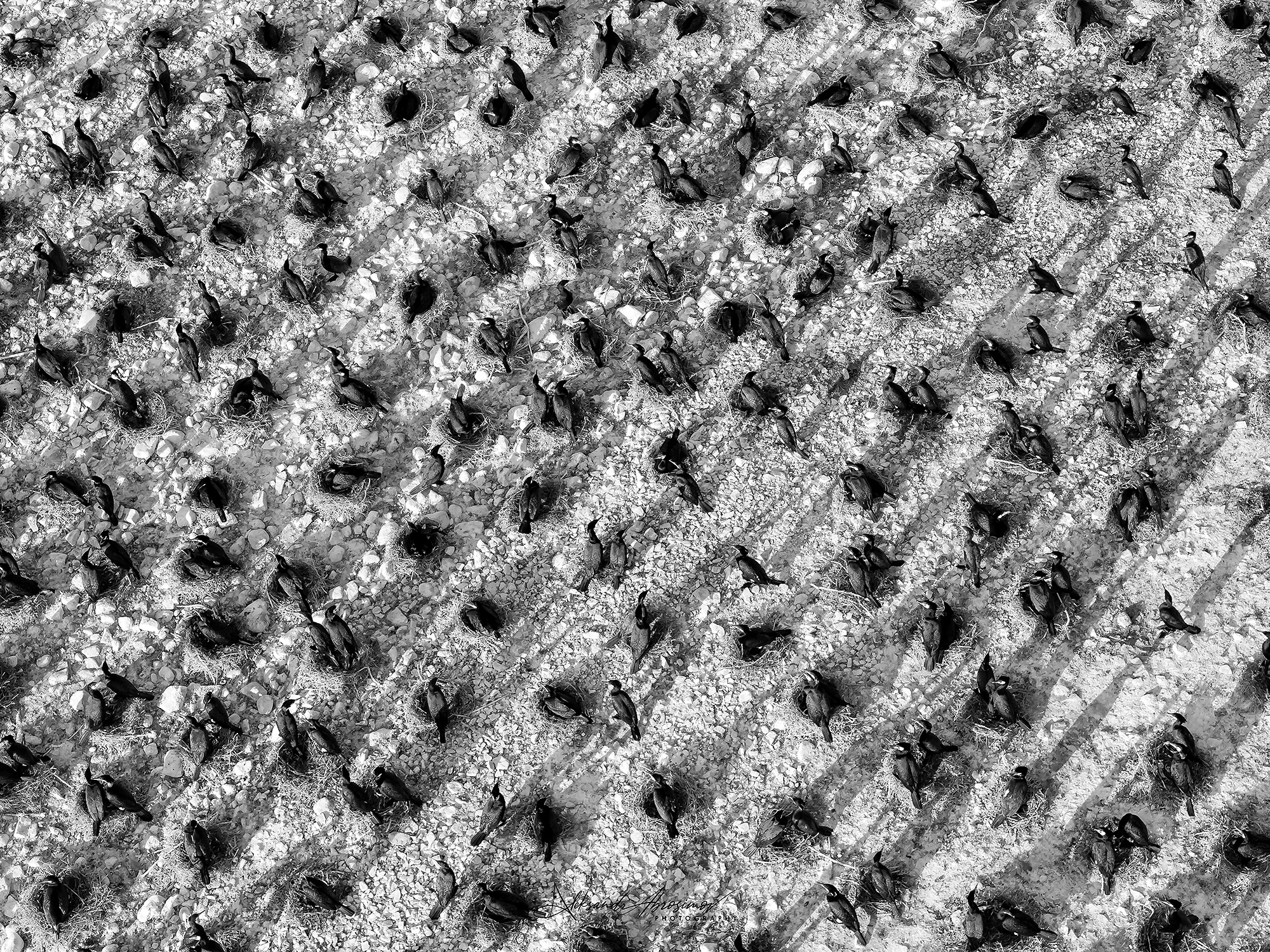 , Абросимов Александр