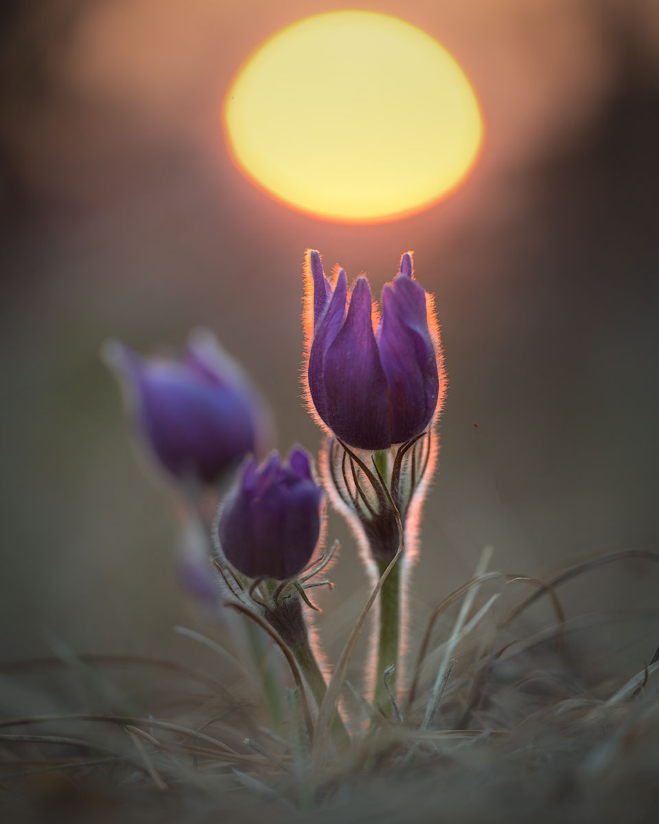 , Сергей Брагин