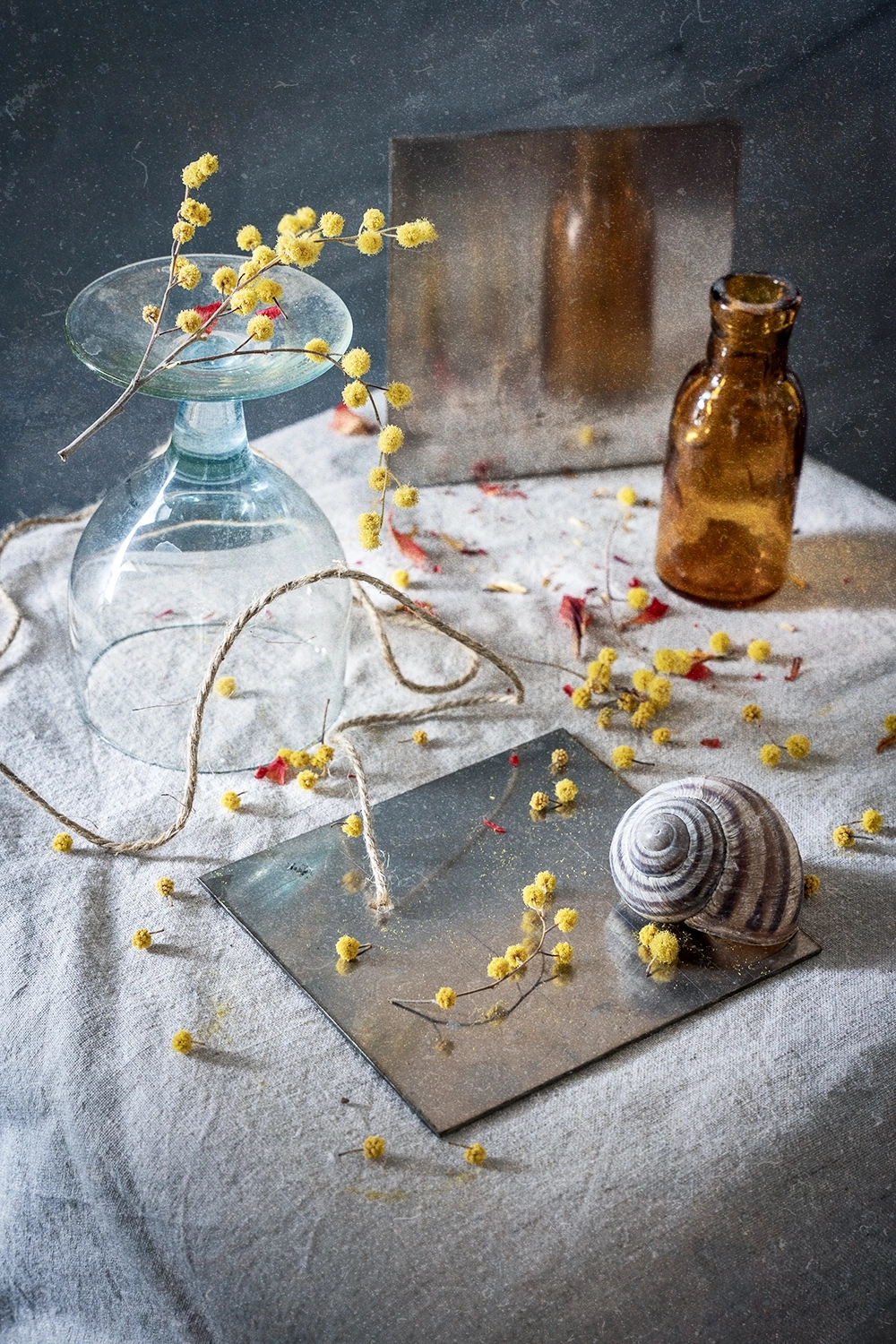 натюрморт, мимоза, весна, отражение, Анна Иванова