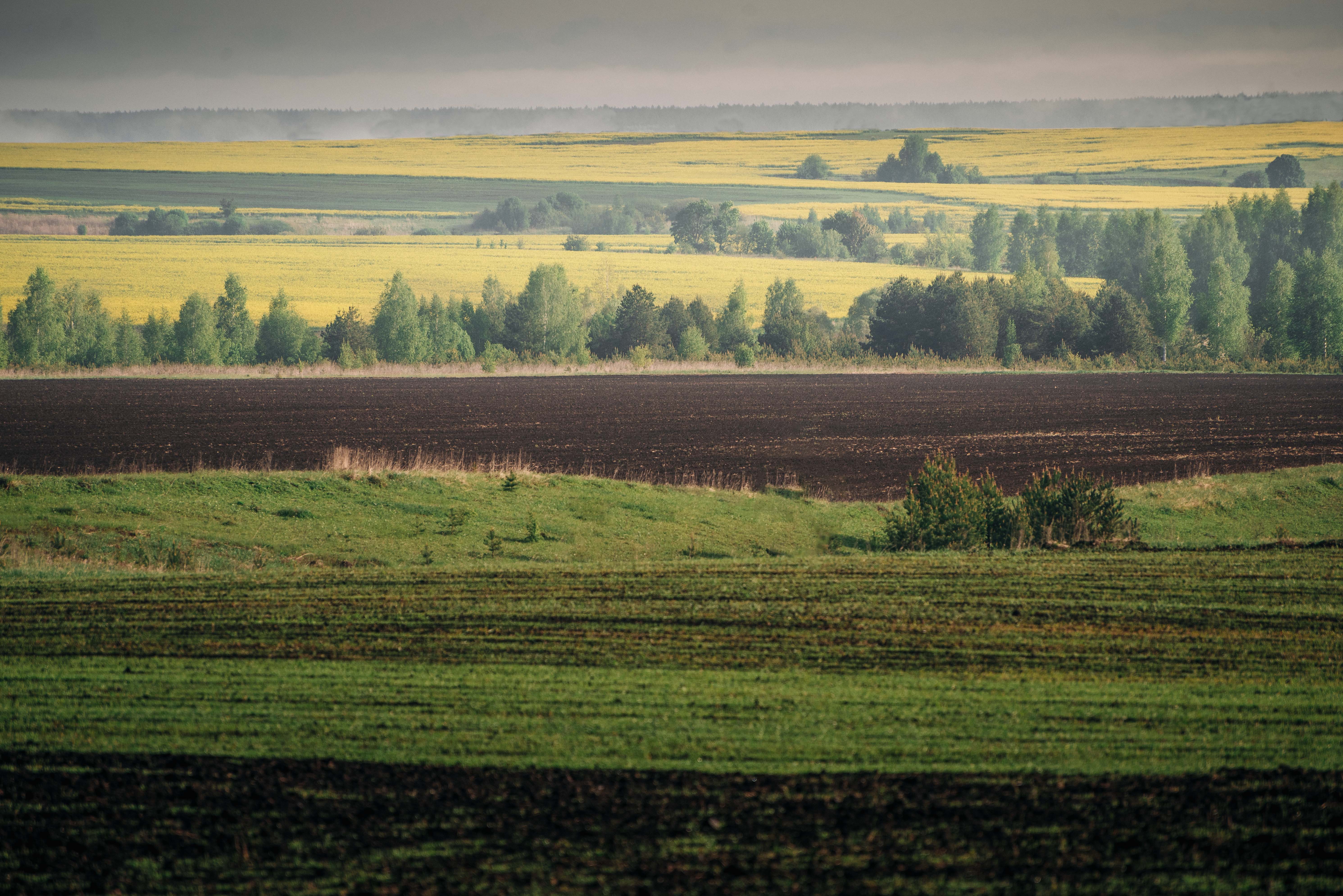 , Рыбаков Илья