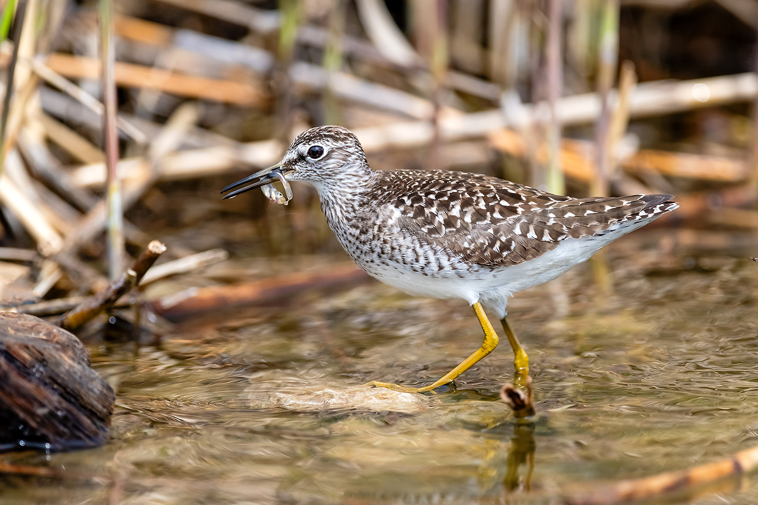 , Абросимов Александр