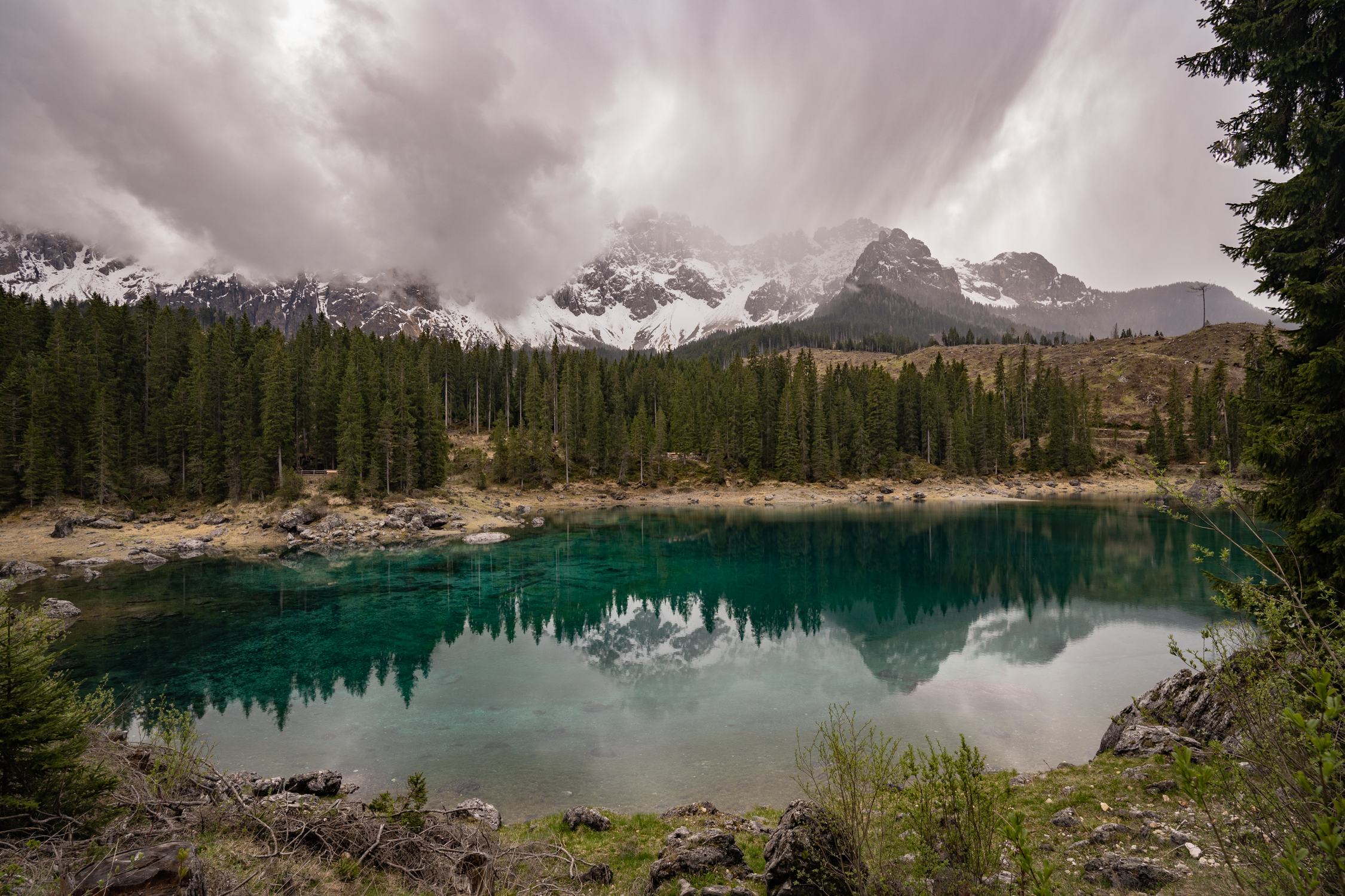 , Дария Максимова