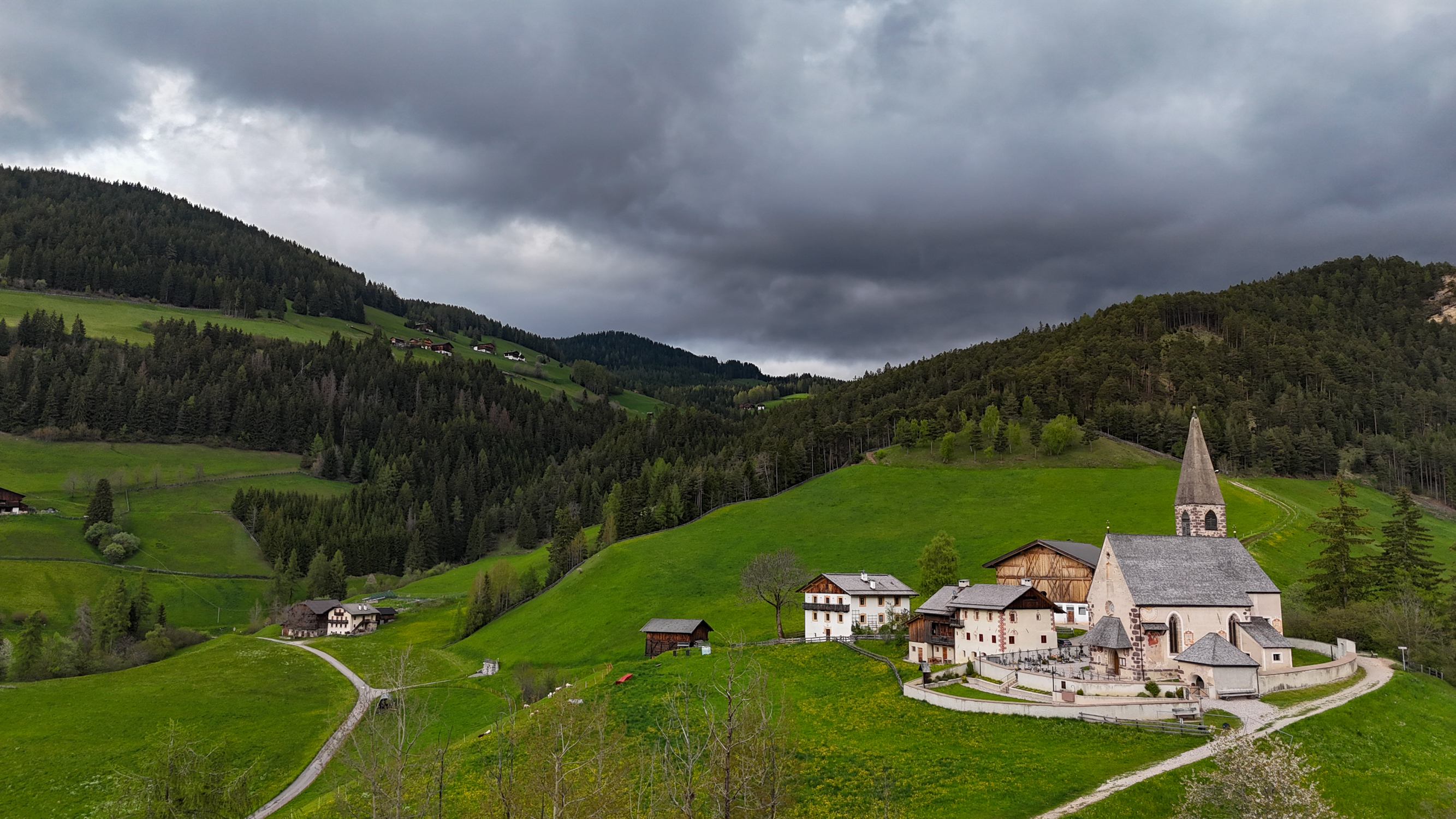 , Дария Максимова