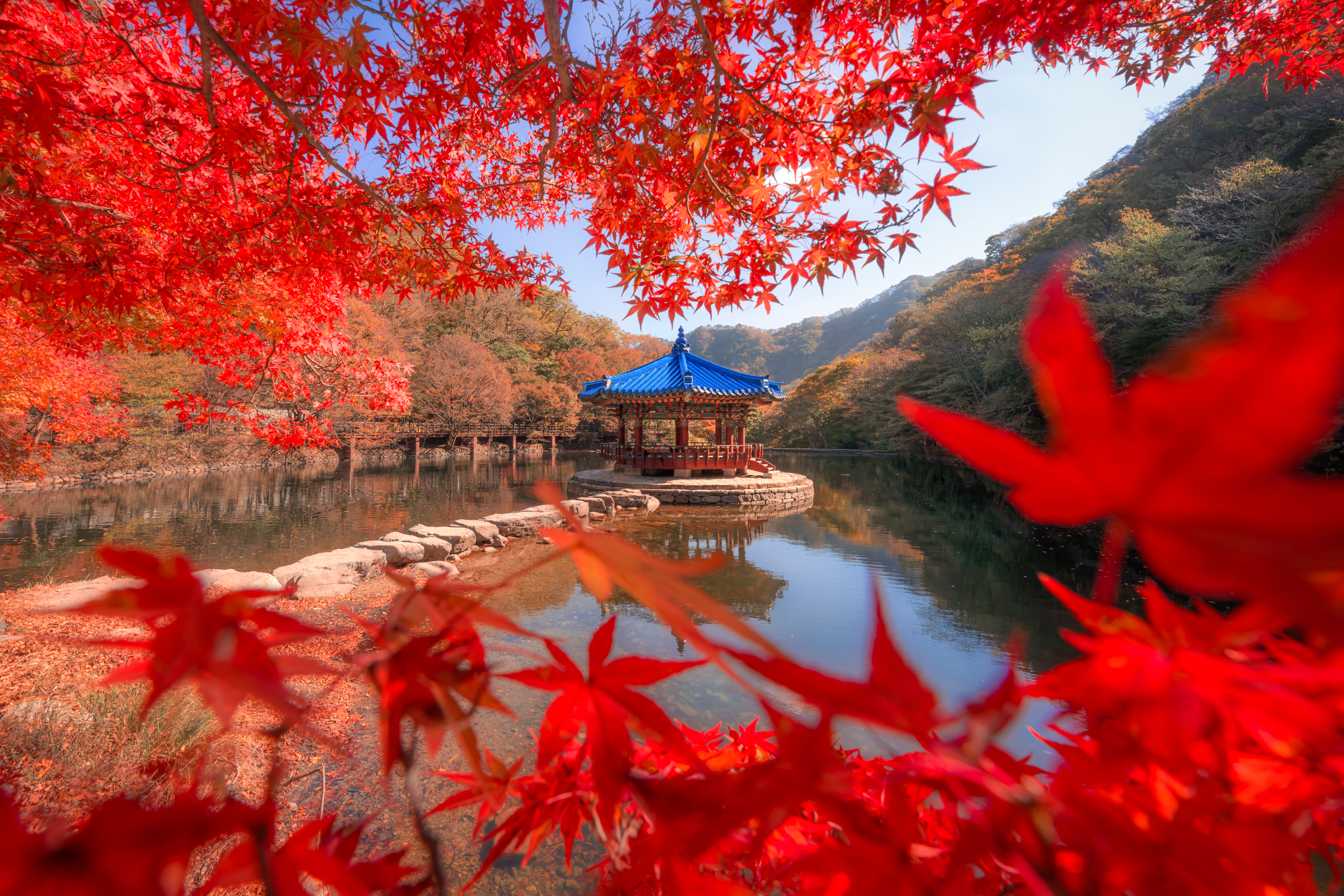 южная корея, осень, клены, Kaznov Stanislav