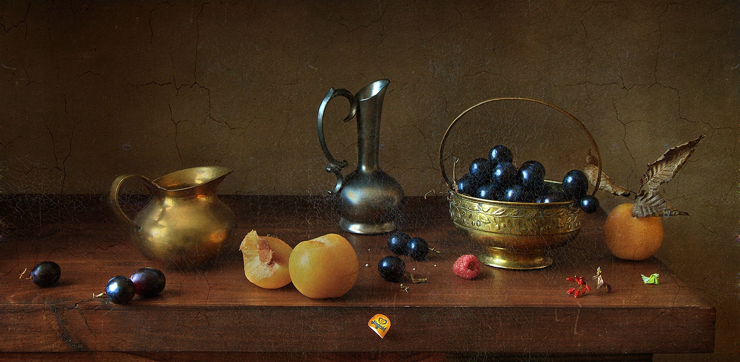 , Рита Гончаренко