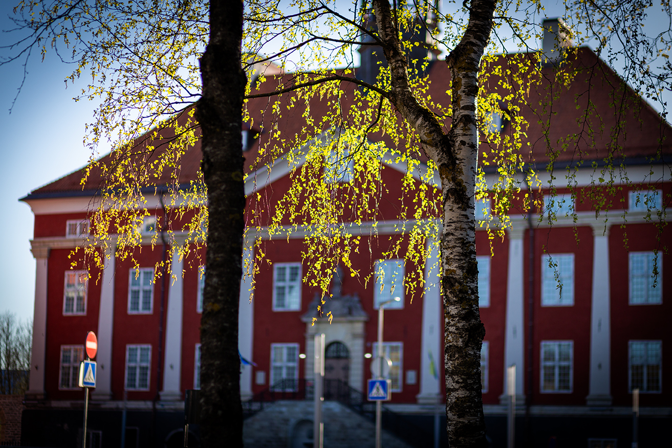 нарва май береза листва ратуша, Четвертной Сергей