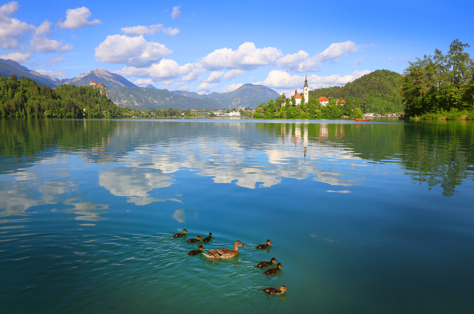 блед, озеро, озеро блед, словения, альпы, юлийские альпы, австрия, триглав, bled, alps, slovenia, lake bled, Титов Сергей